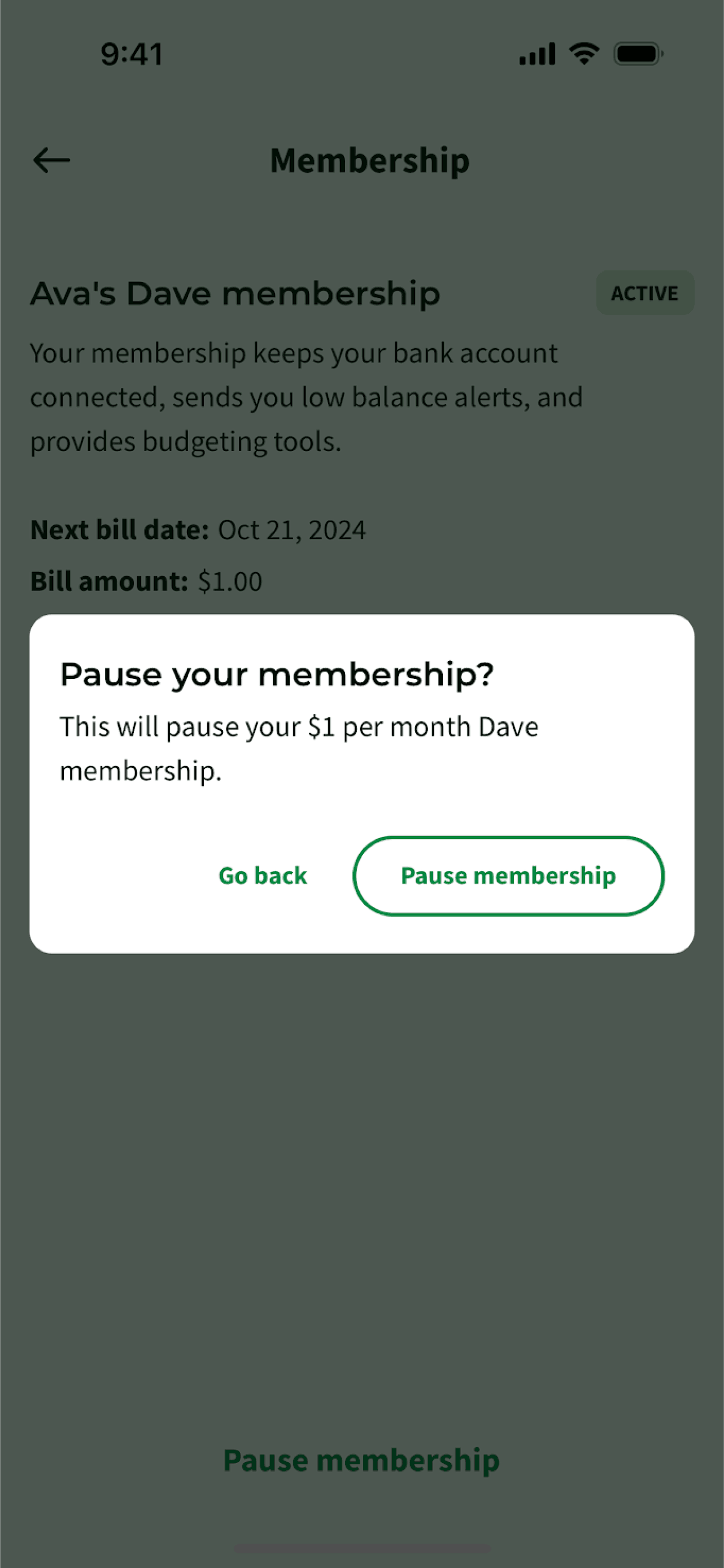 Dave iOS Finance interface screenshot 24