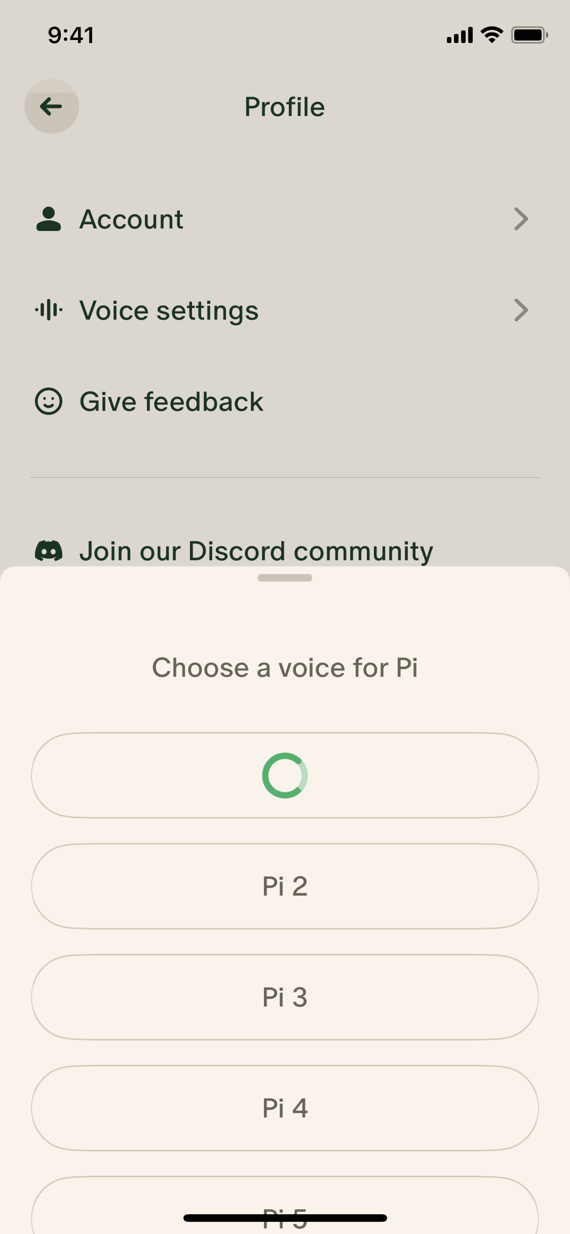 Pi iOS AI interface screenshot 23