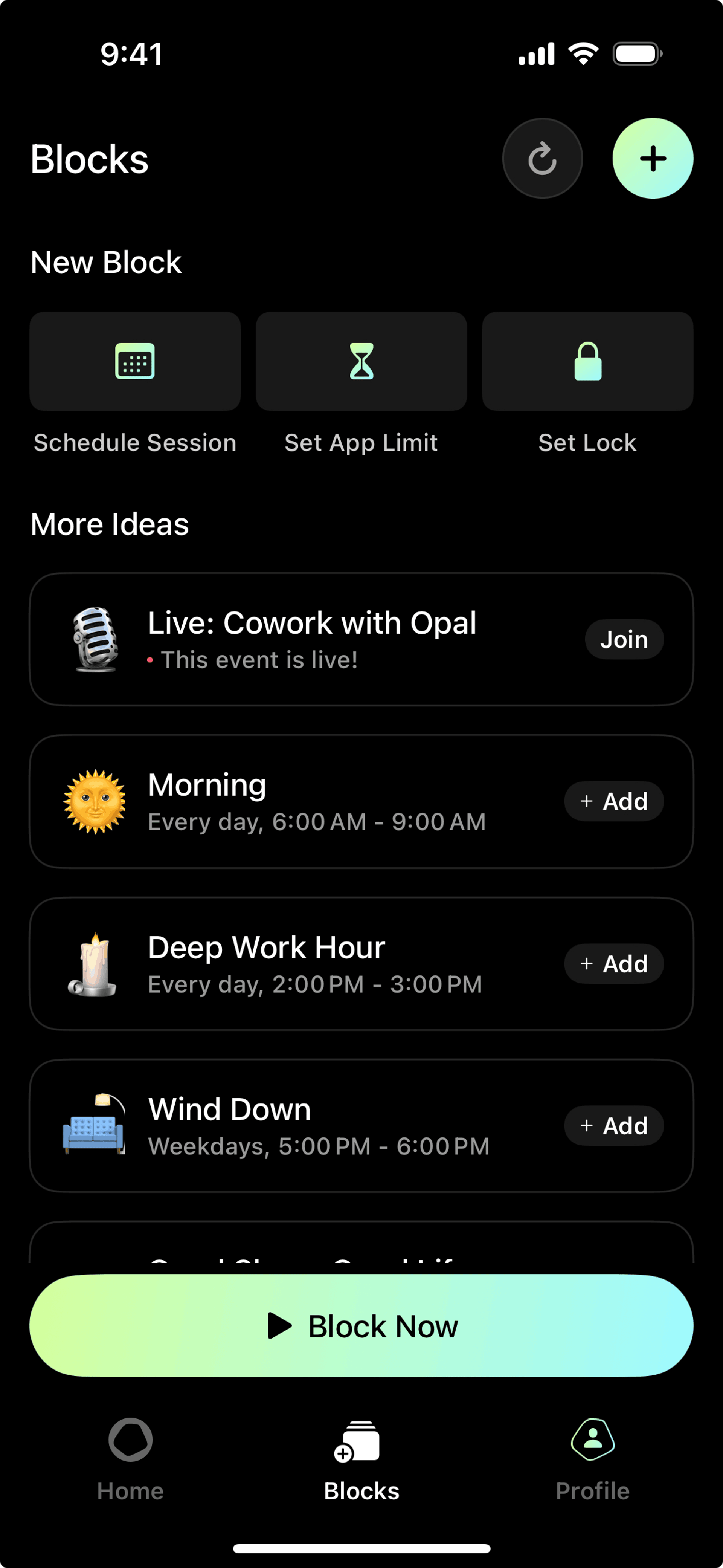Opal iOS Productivity interface screenshot 3