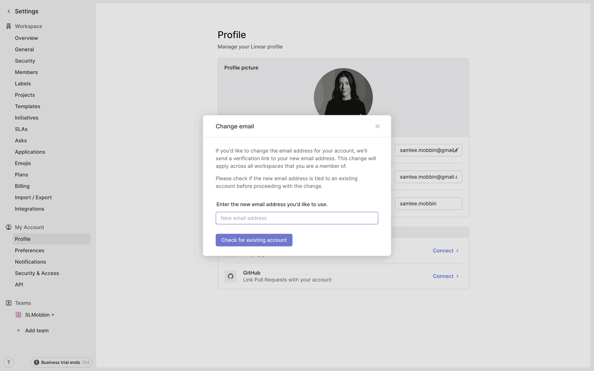 Linear Web Developer Tools interface screenshot 9