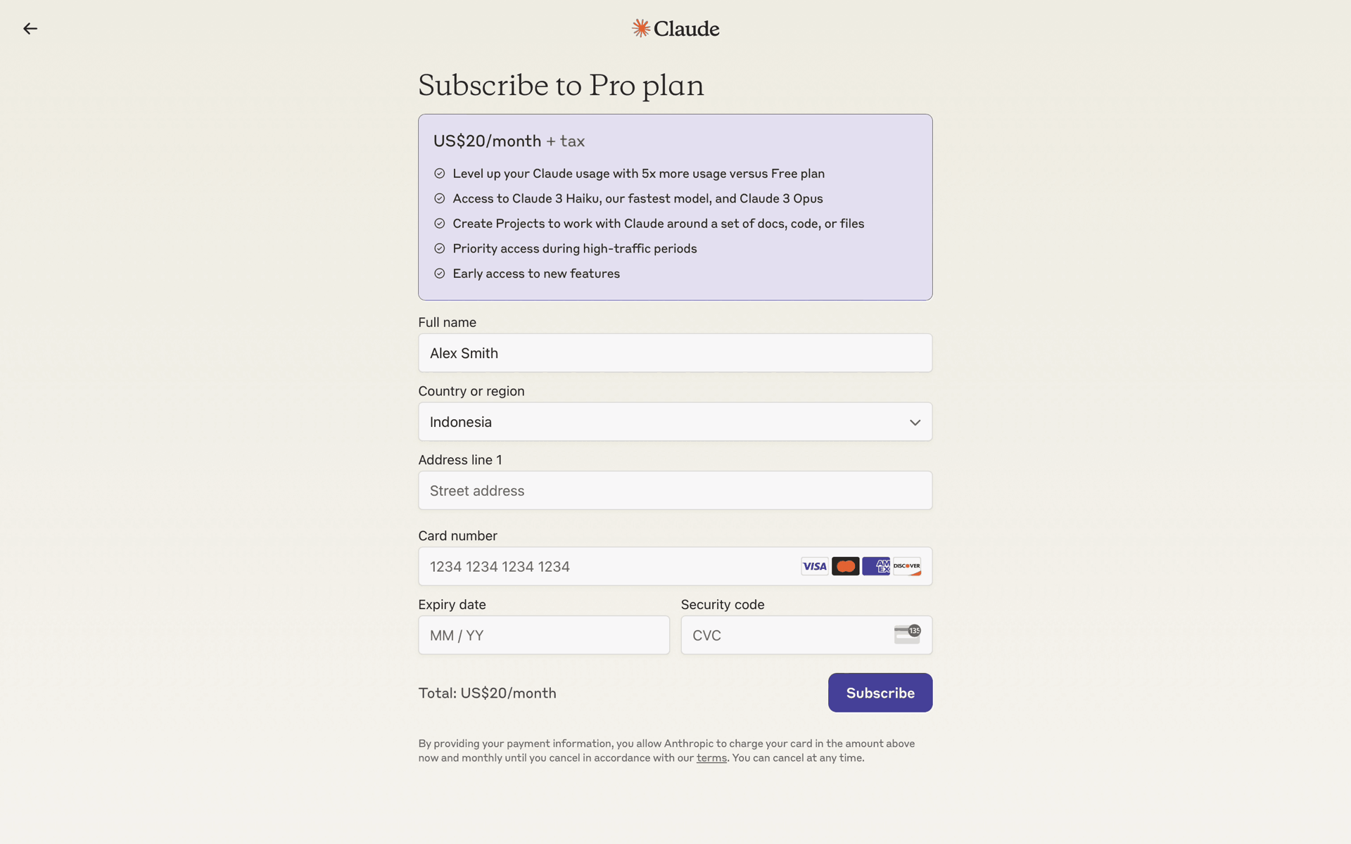 Claude Web AI interface screenshot 21