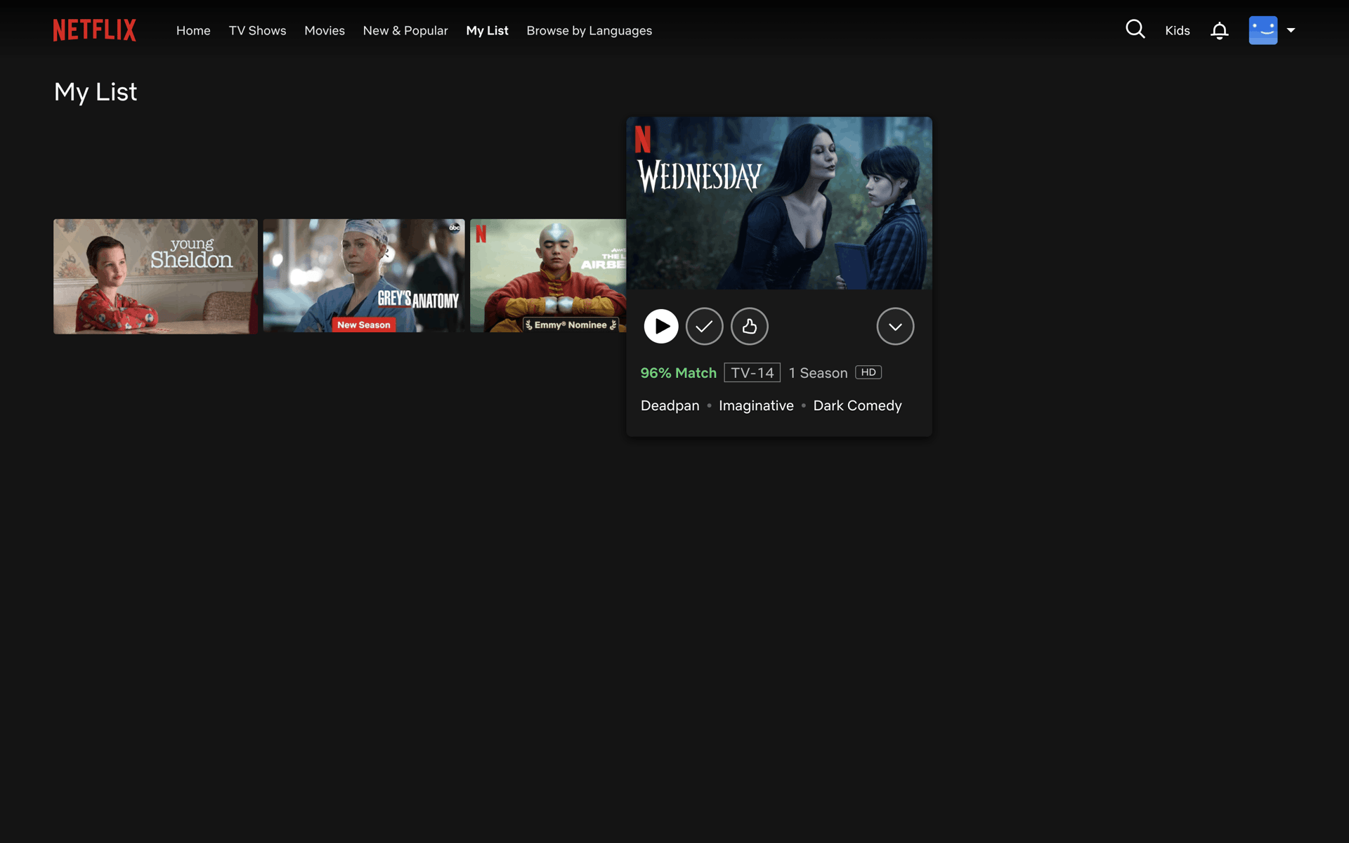 Netflix Web Entertainment interface screenshot 9