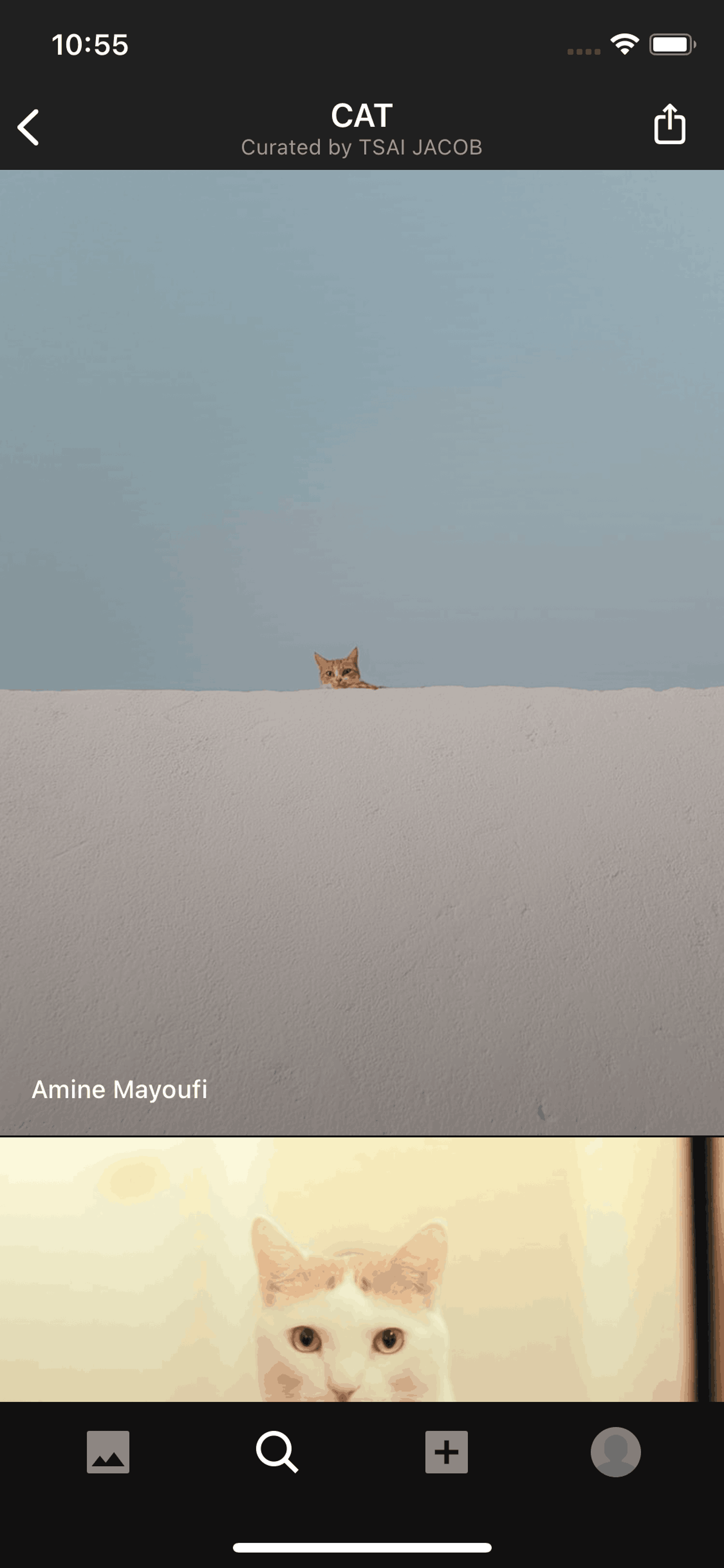 Unsplash iOS Photo & Video interface screenshot 12