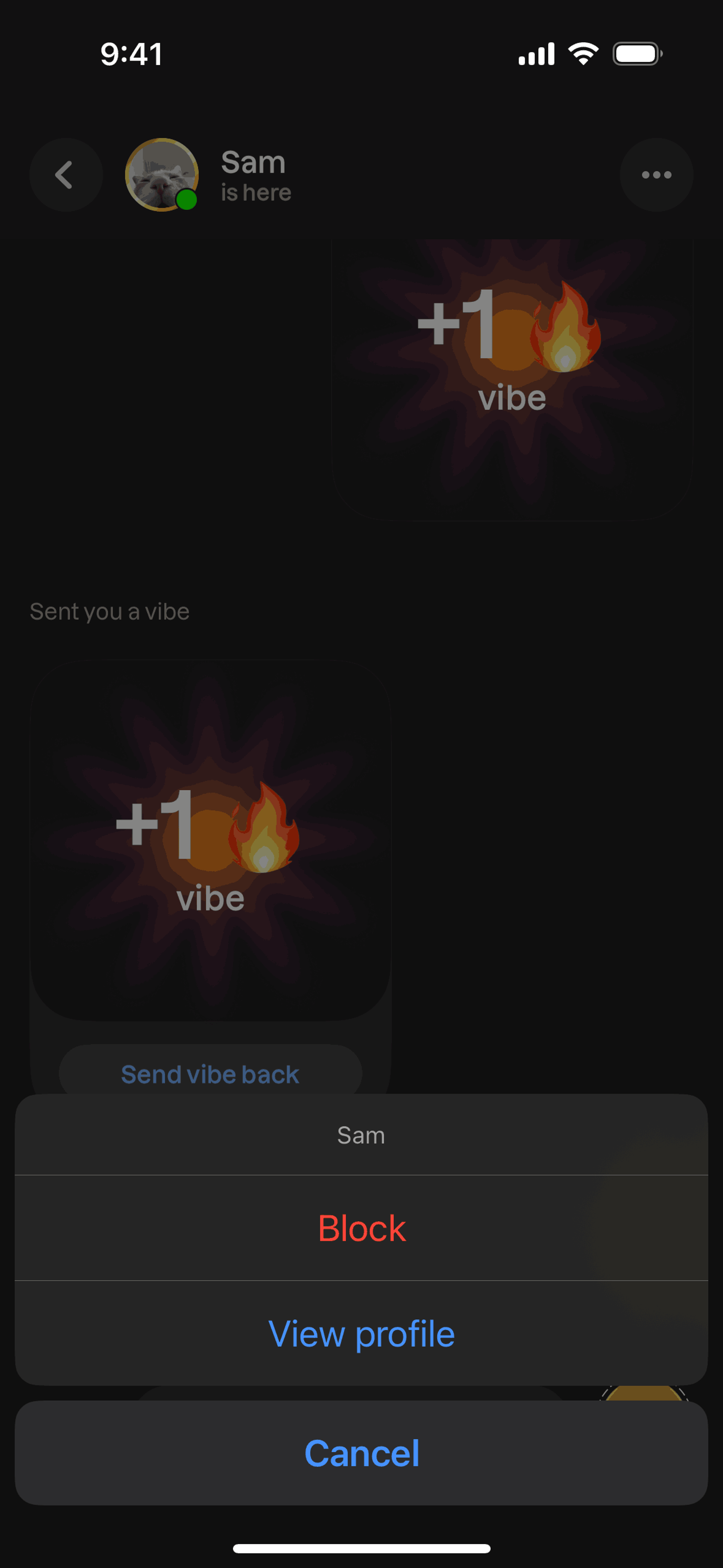 Lapse iOS Photo & Video interface screenshot 21