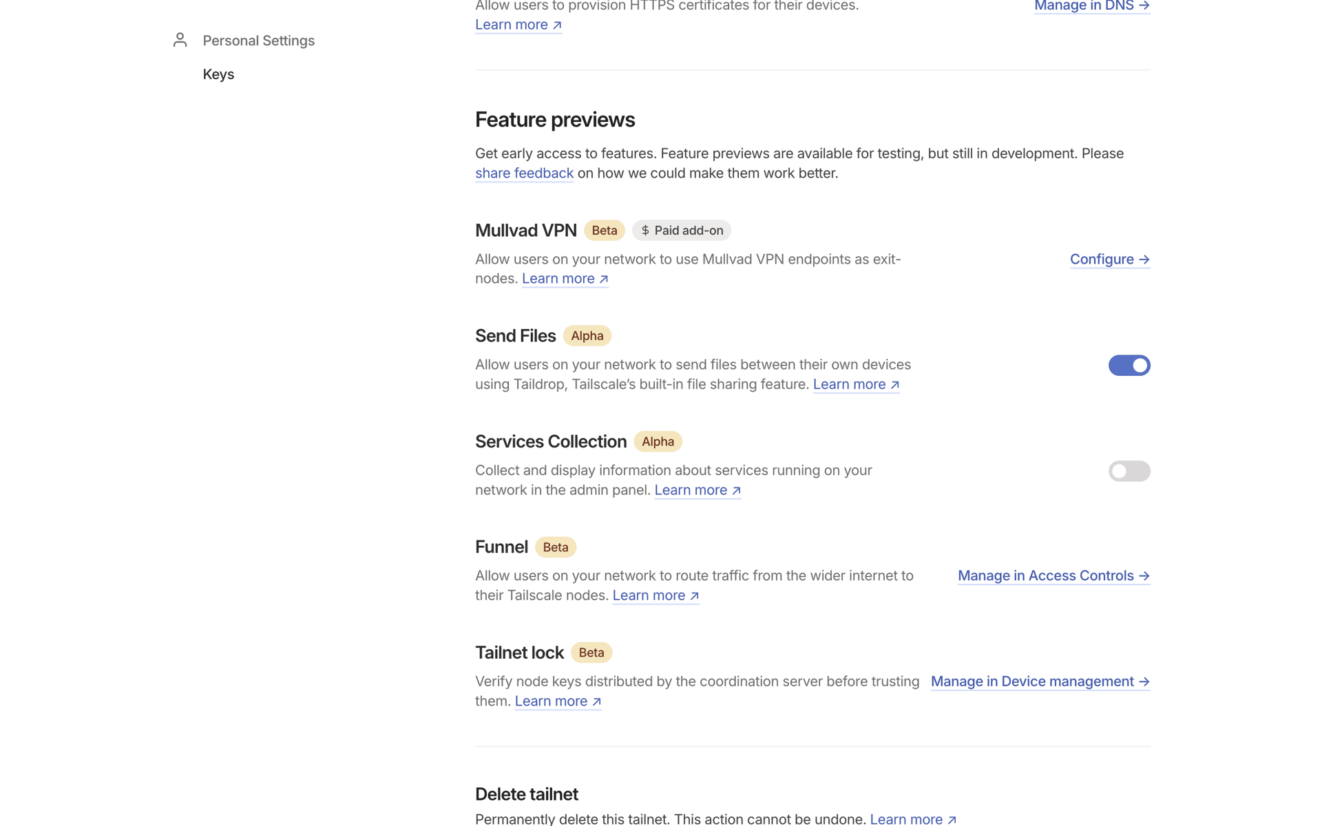 Tailscale Web Developer Tools interface screenshot 6