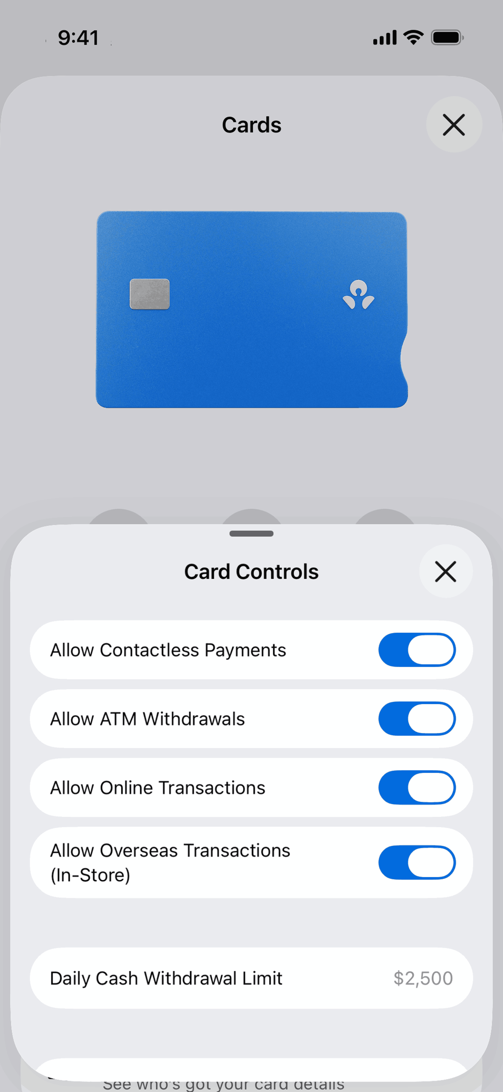ANZ Plus iOS Finance interface screenshot 14
