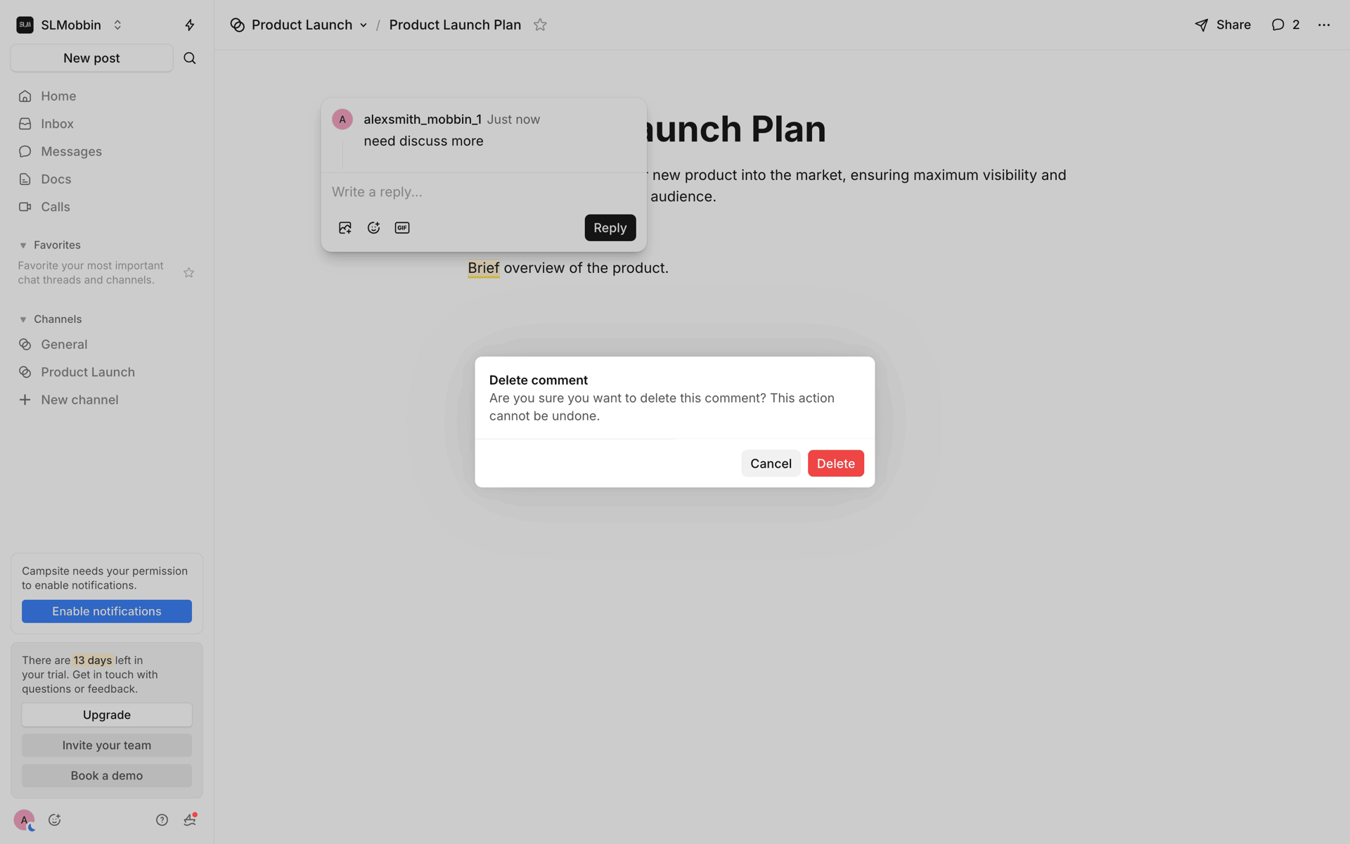 Campsite Web Productivity interface screenshot 11