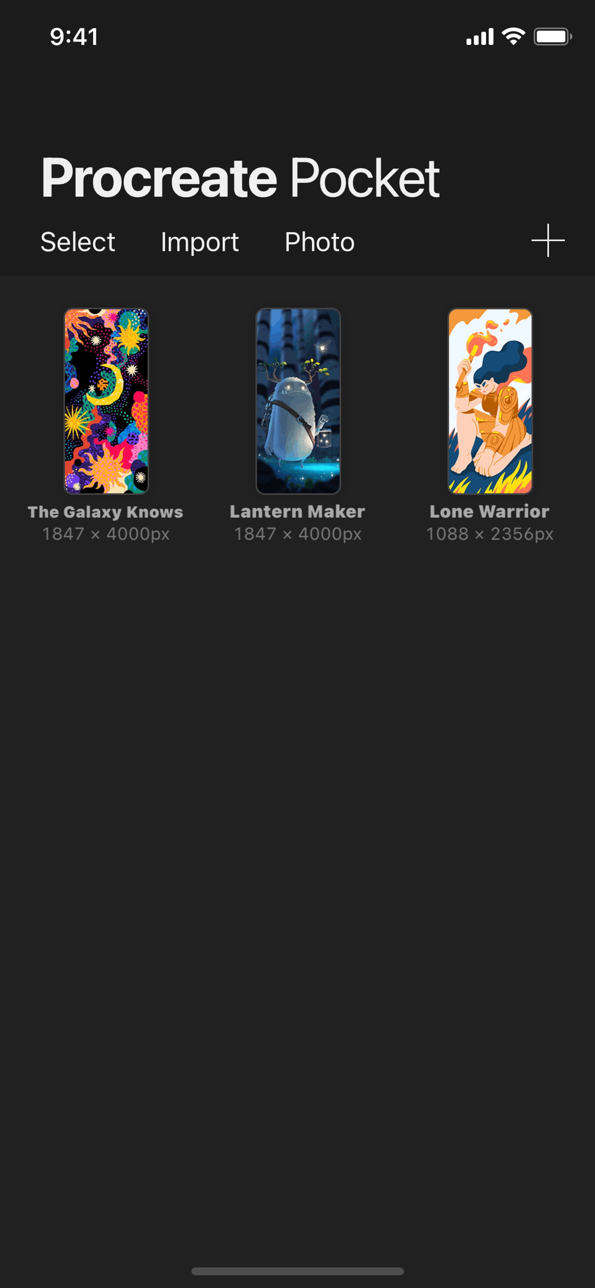 Procreate Pocket iOS Graphics & Design interface screenshot 2