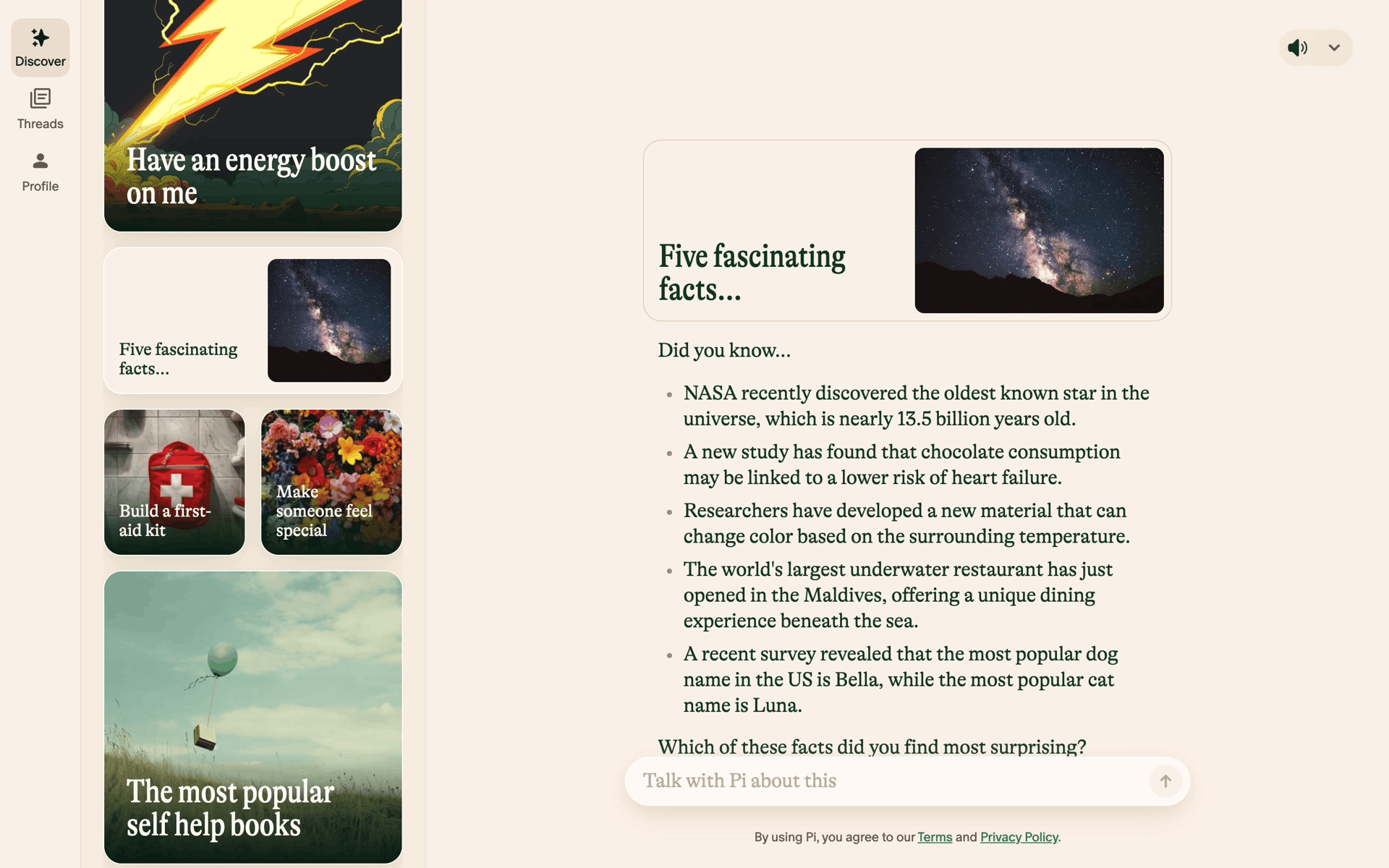 Pi Web AI interface screenshot 5
