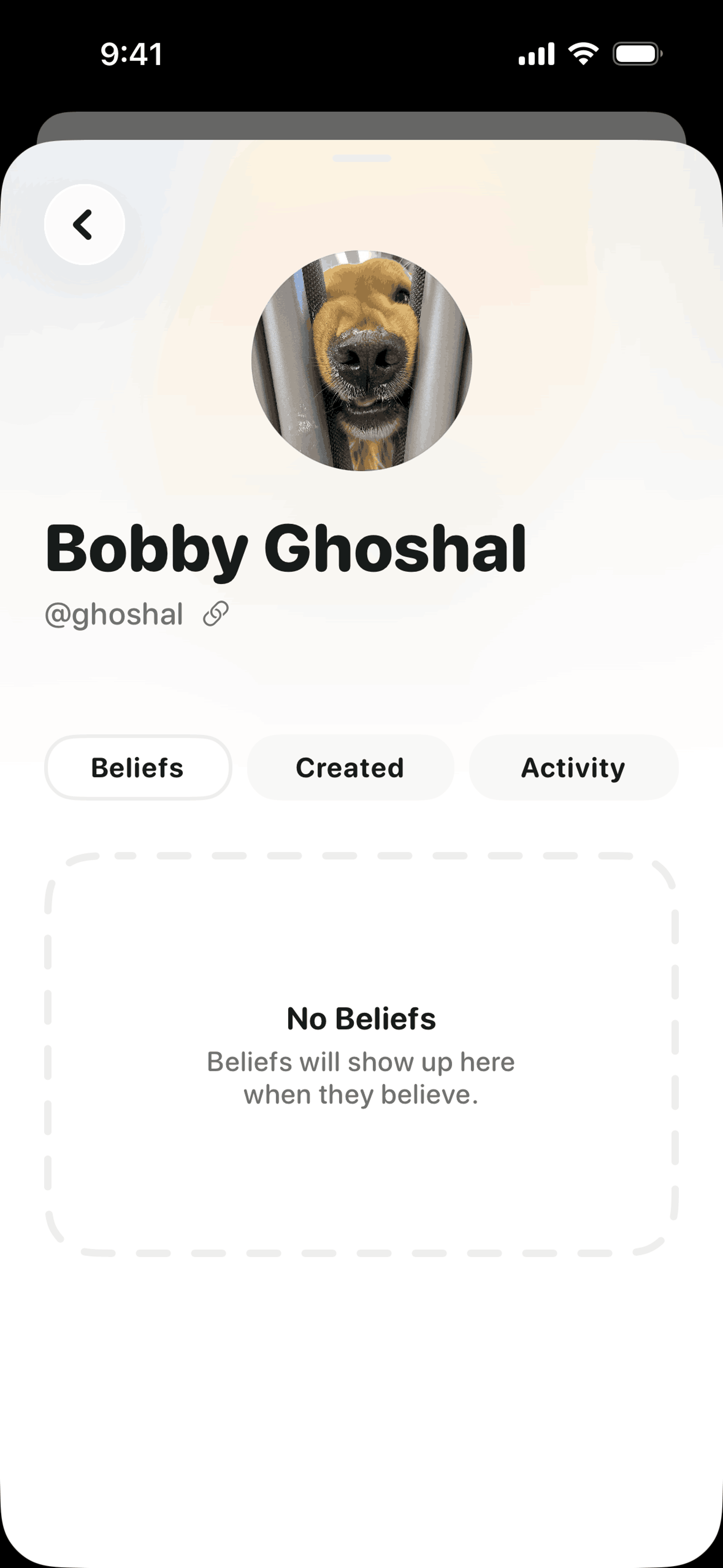 Believe iOS Finance interface screenshot 8