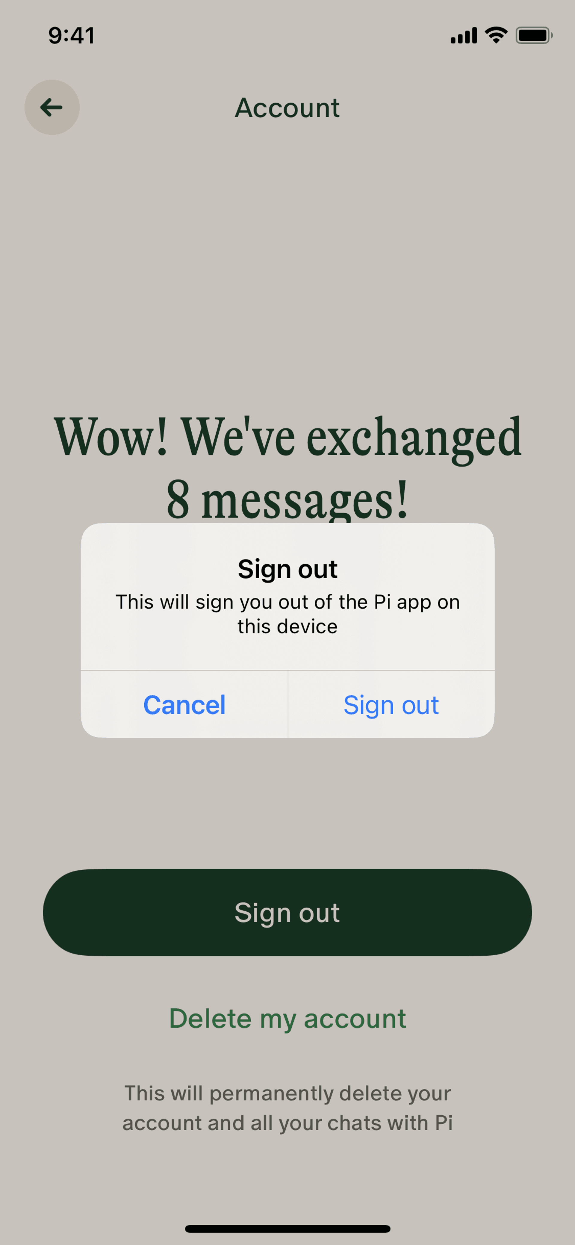 Pi iOS AI interface screenshot 11