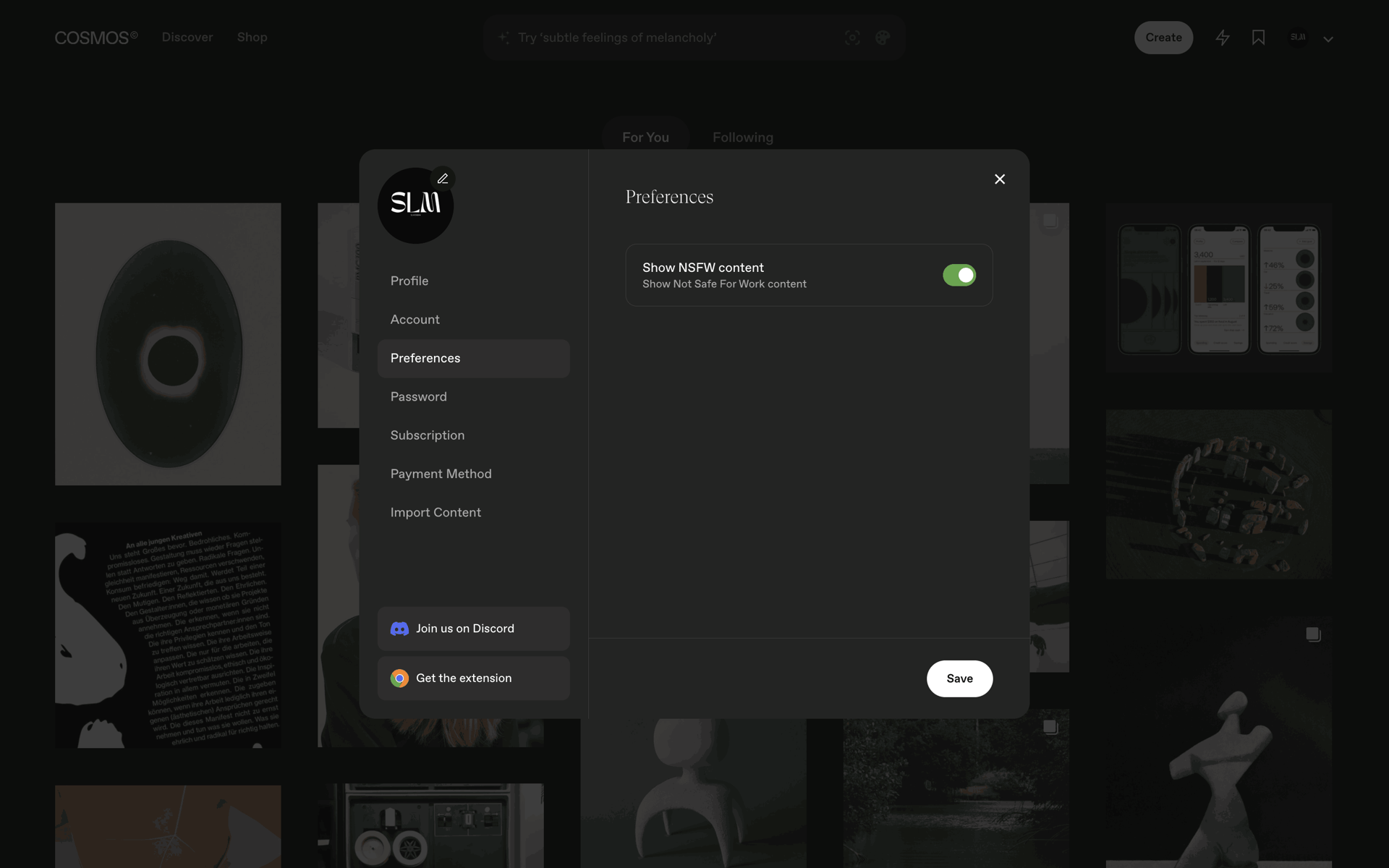 Cosmos Web Photo & Video interface screenshot 18