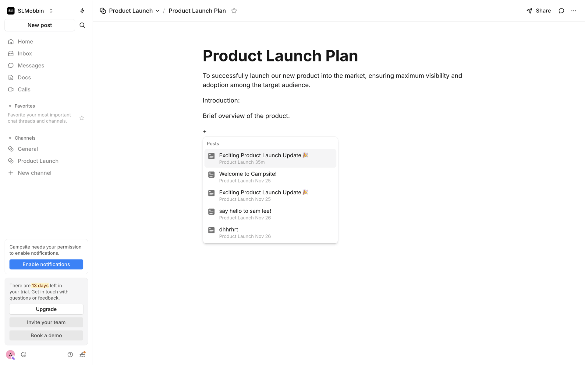 Campsite Web Productivity interface screenshot 6