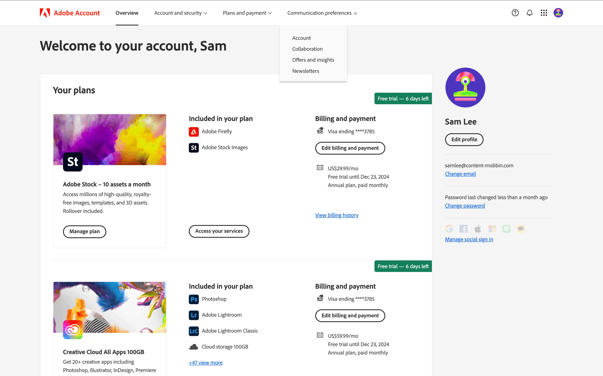 Adobe Web Business interface screenshot 20