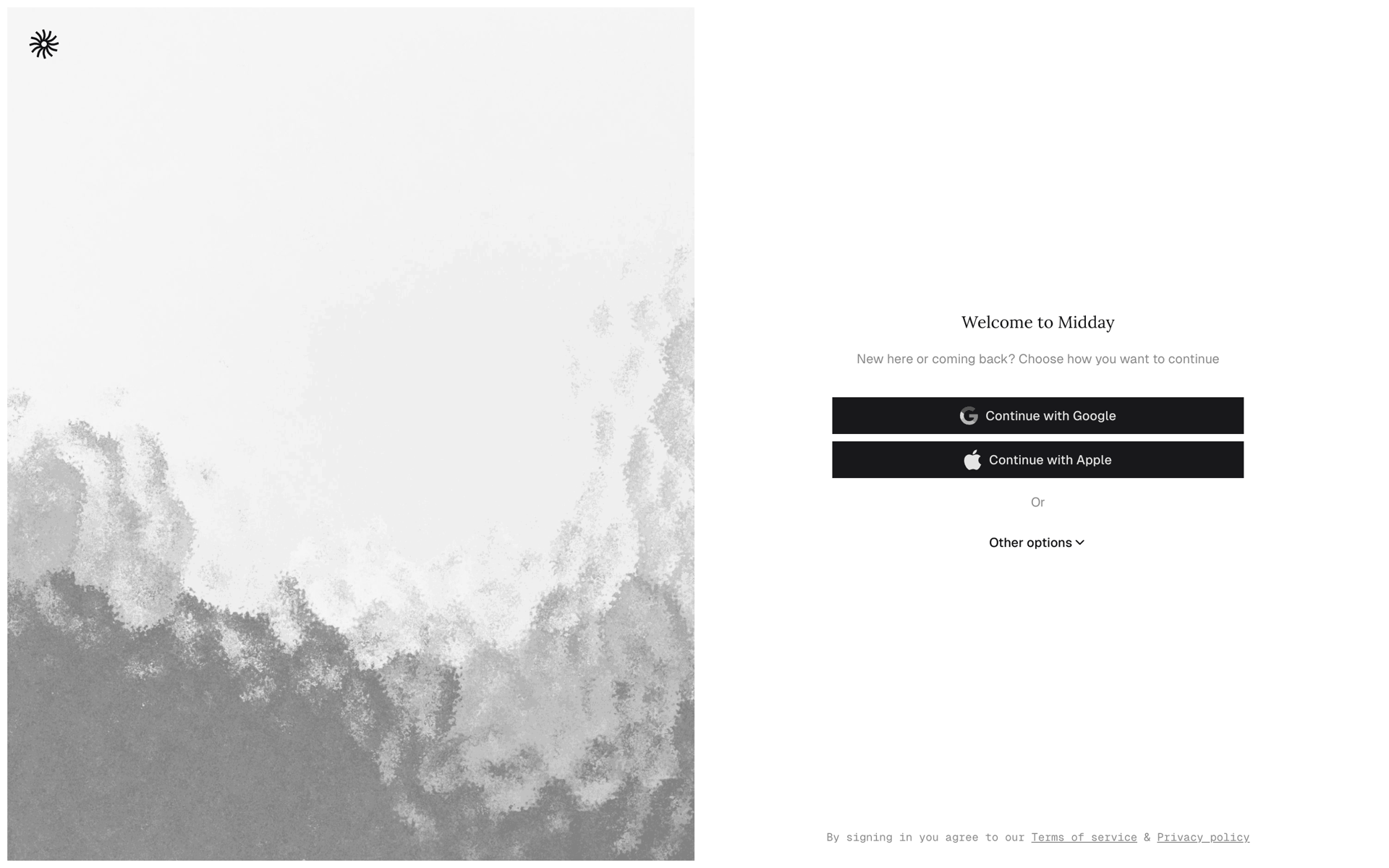 Midday Web Finance interface screenshot 2