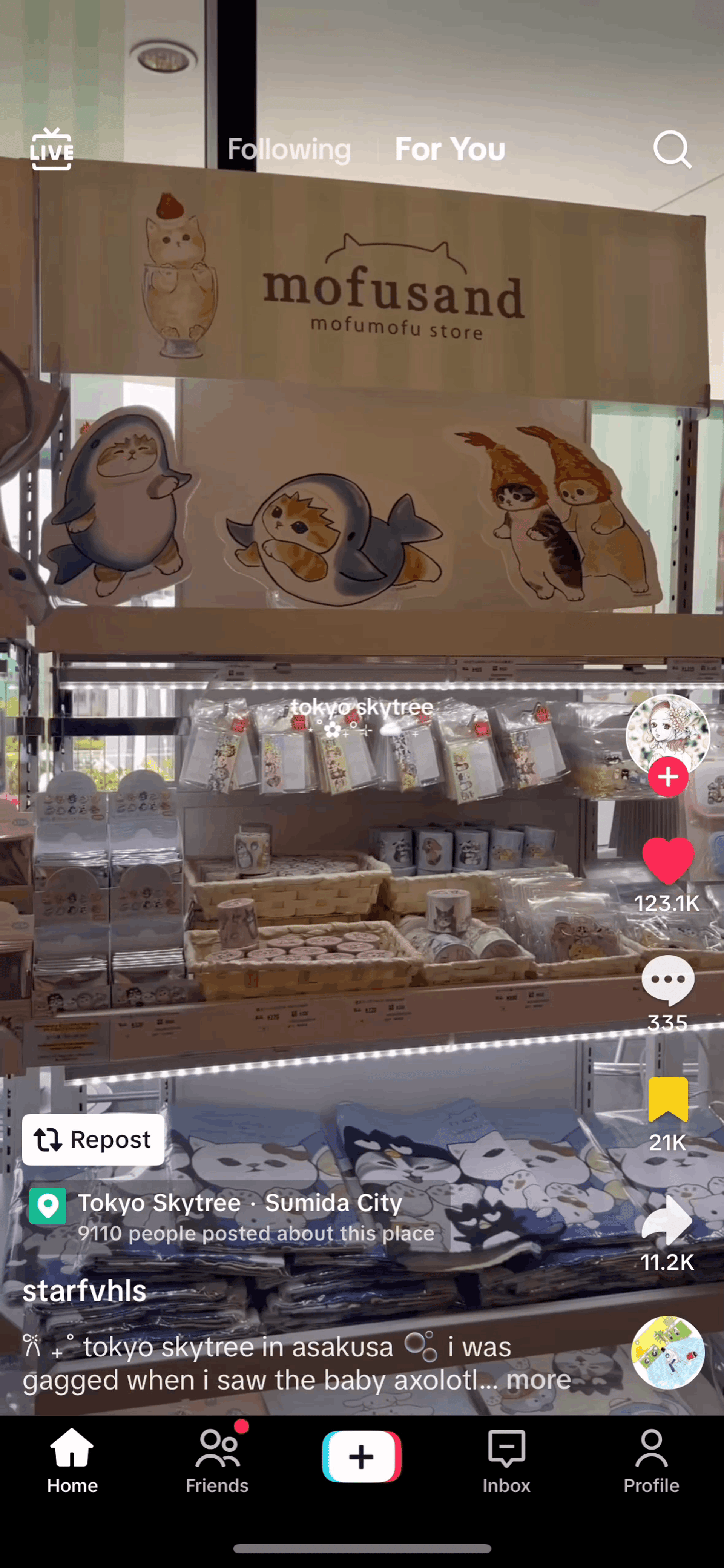 TikTok iOS Social Networking interface screenshot 9