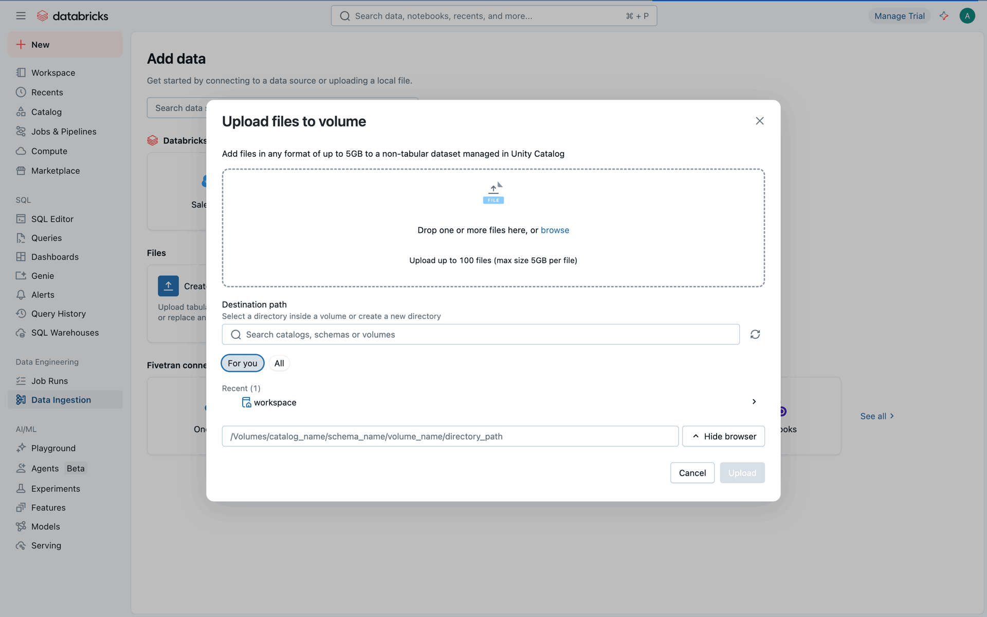 Databricks Web Developer Tools interface screenshot 7