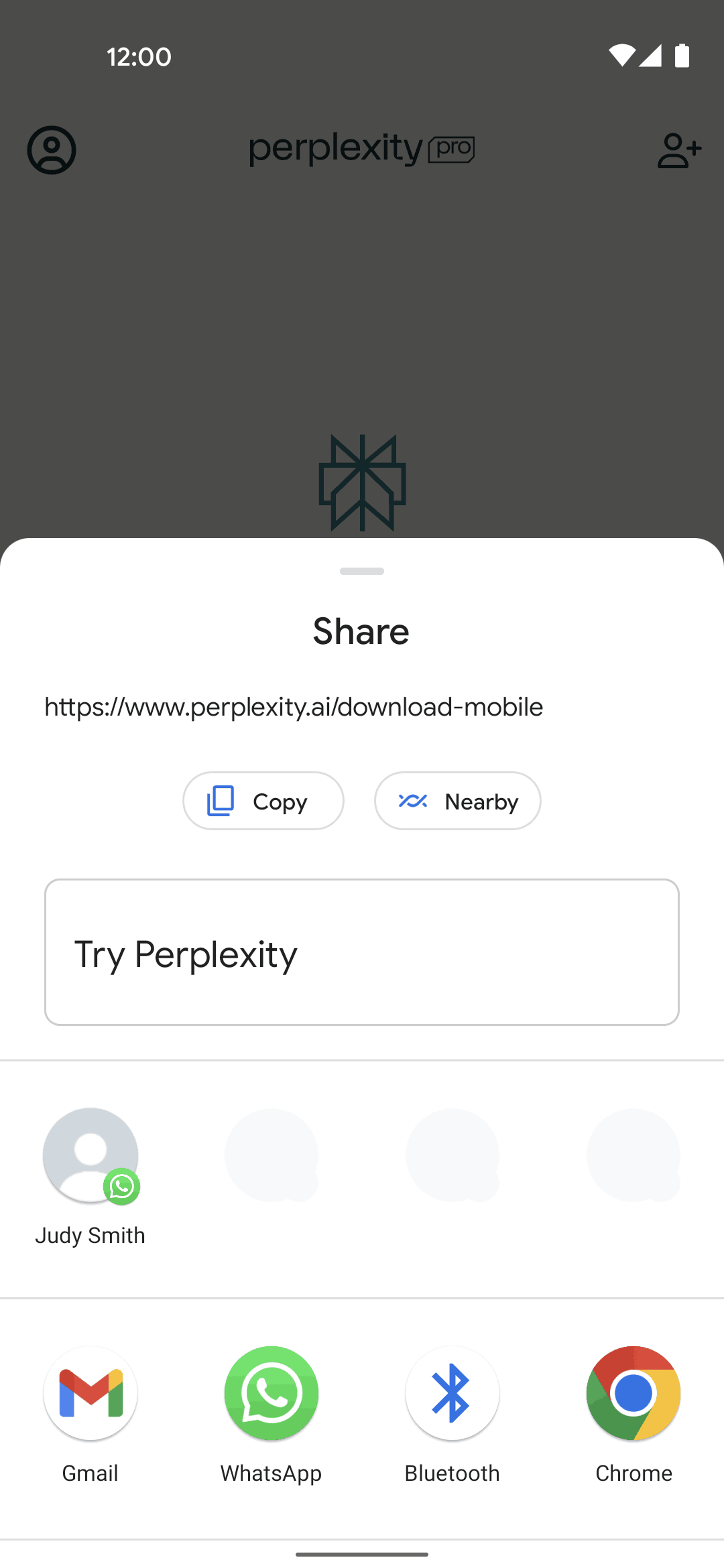 Perplexity Android AI interface screenshot 15