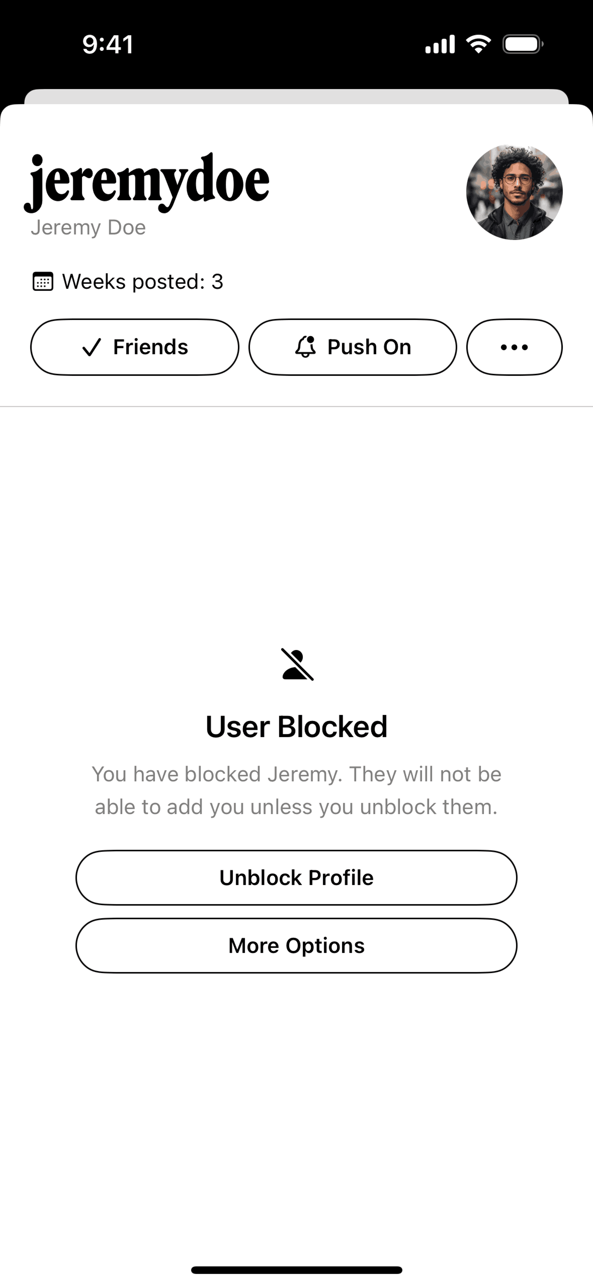 Retro iOS Social Networking interface screenshot 21