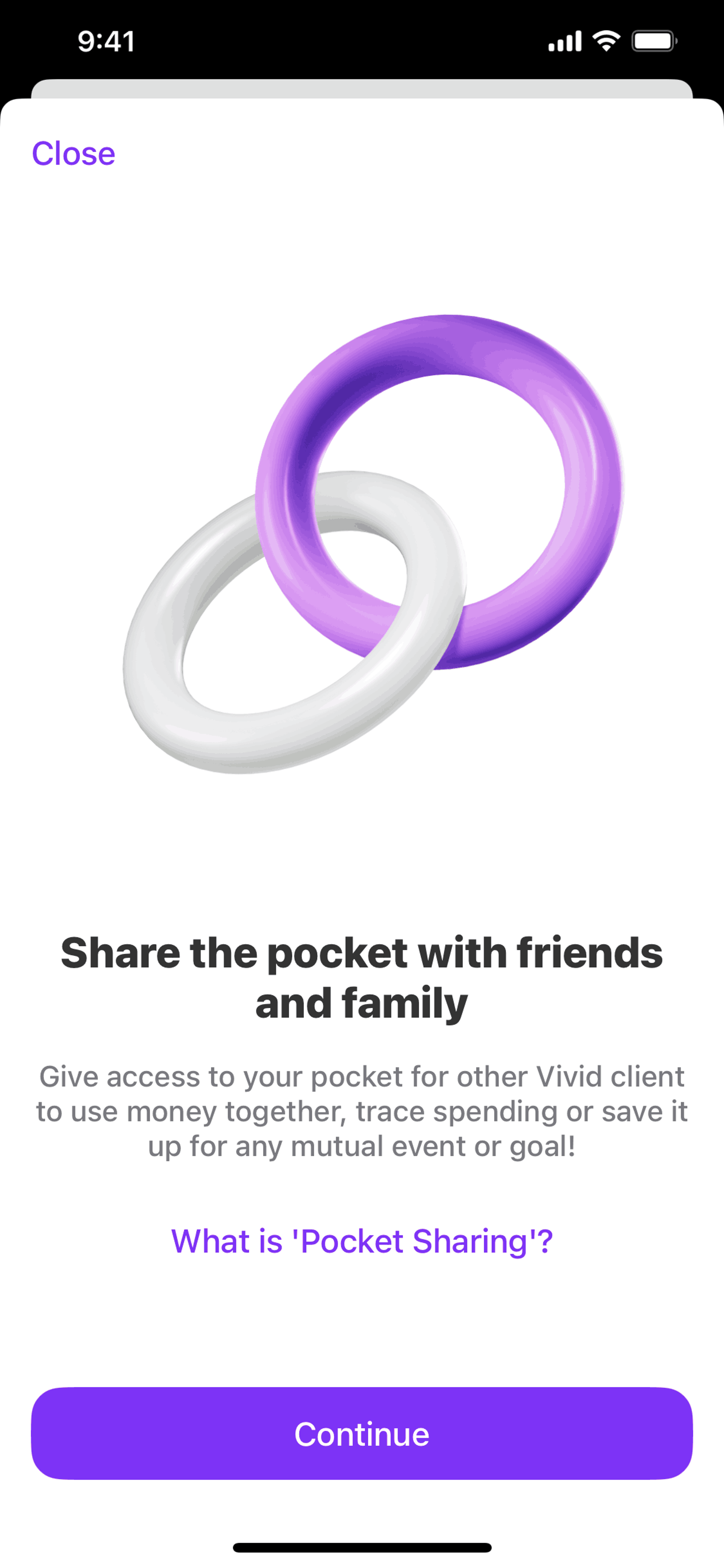 Vivid iOS Finance interface screenshot 21