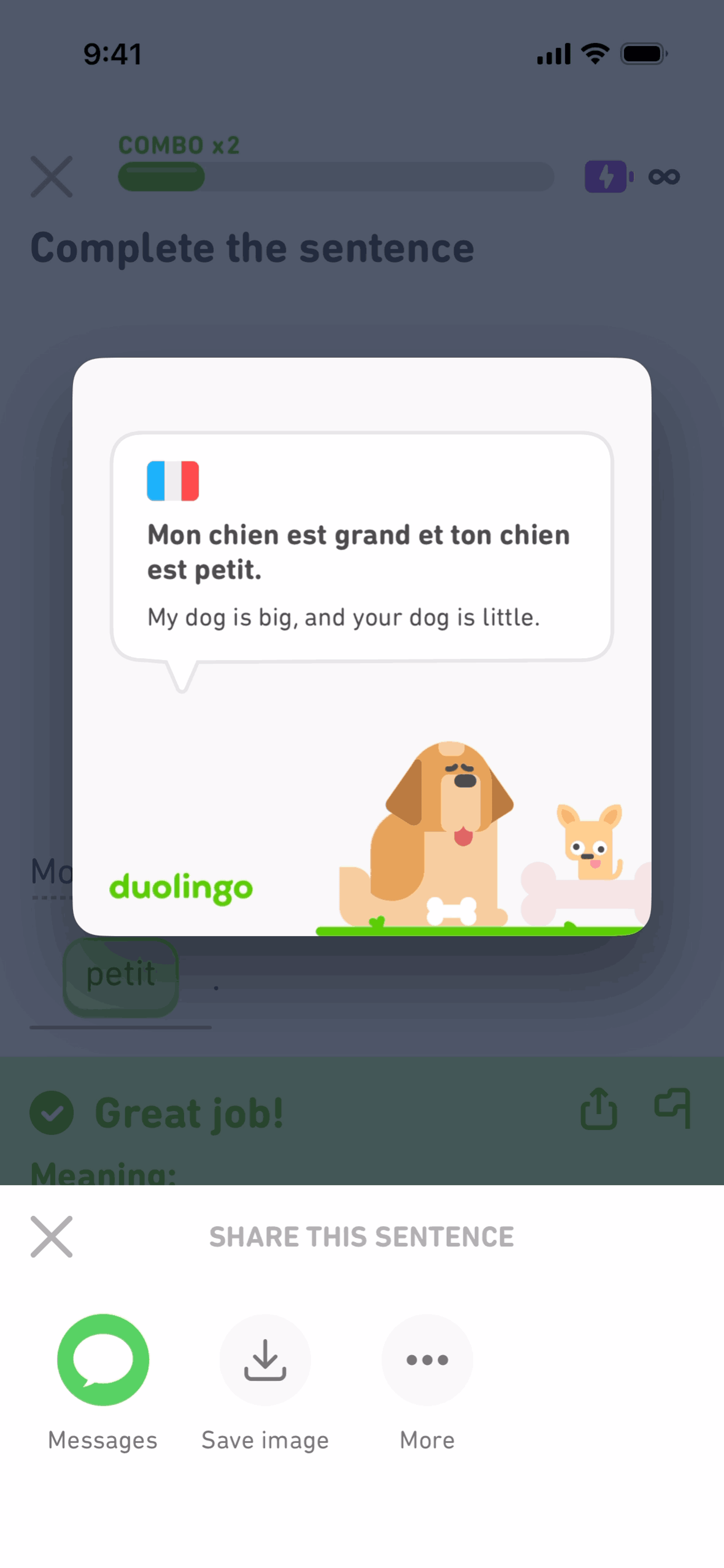 Duolingo iOS Education interface screenshot 10