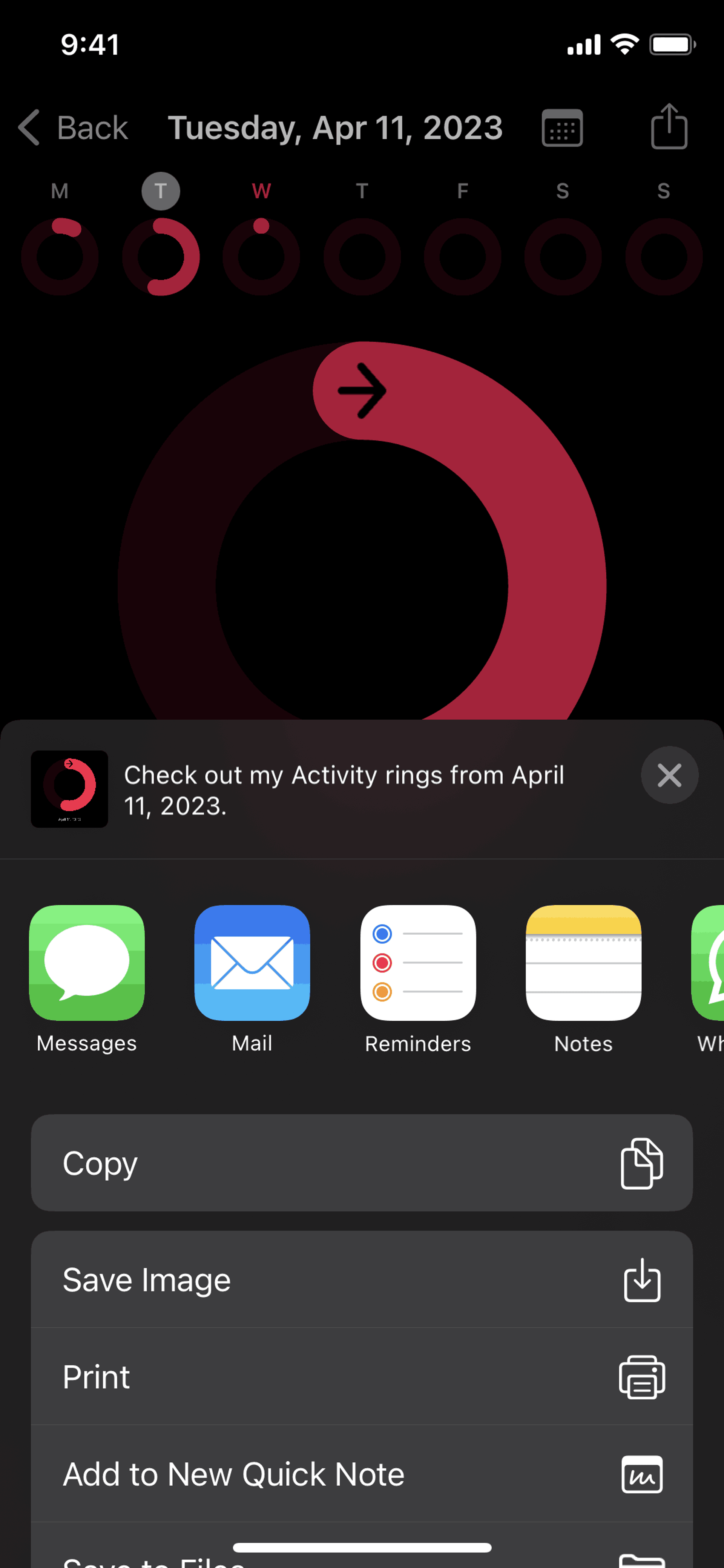 Sharing activity detail on Apple Fitness (ios) screen 2