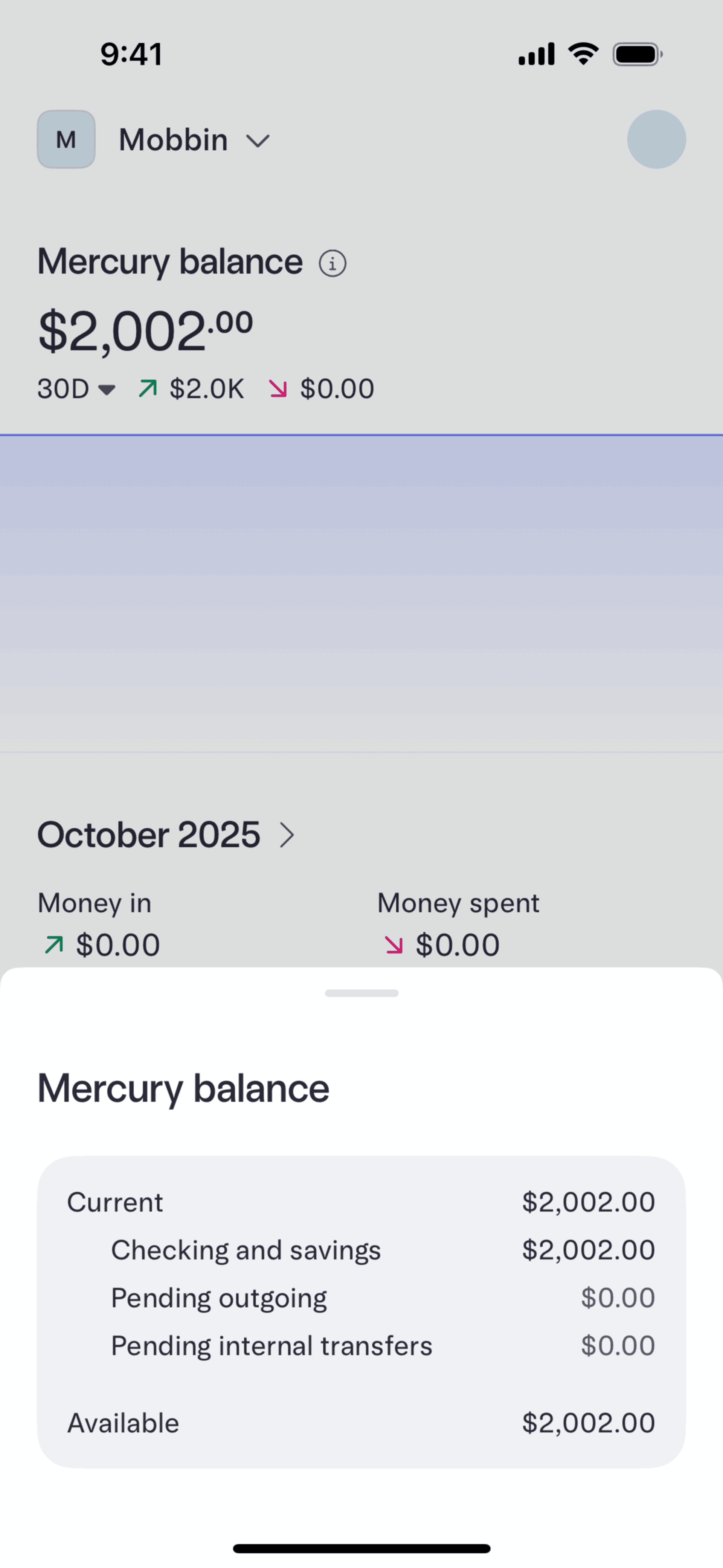 Mercury iOS Finance interface screenshot 16