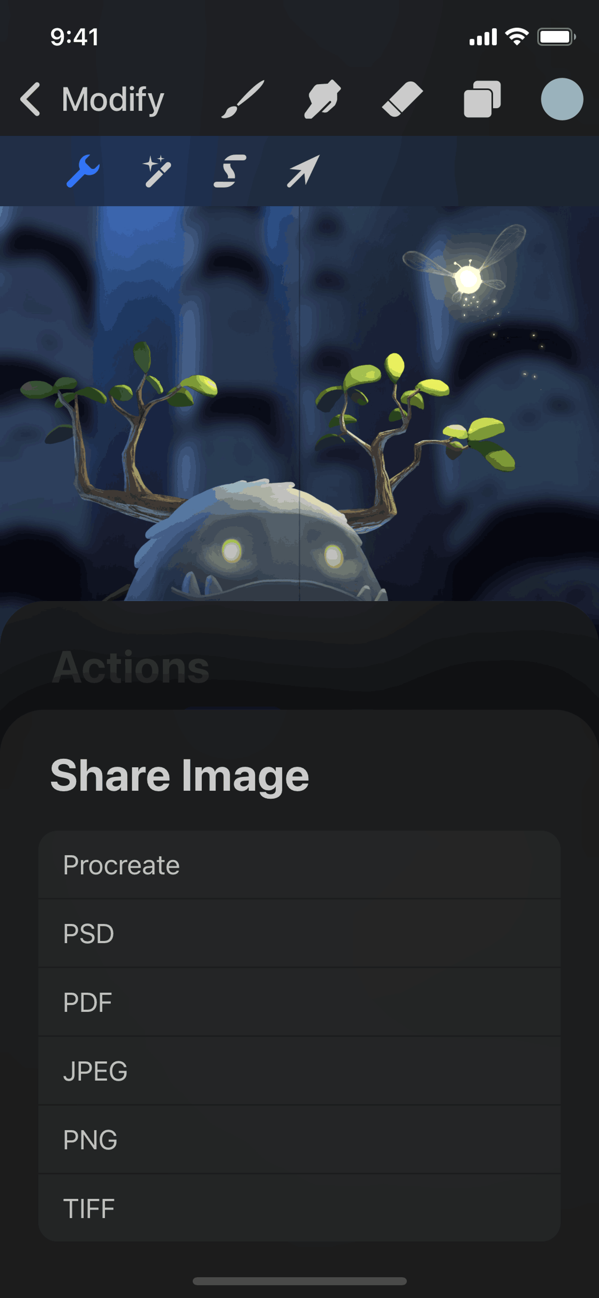 Procreate Pocket iOS Graphics & Design interface screenshot 24