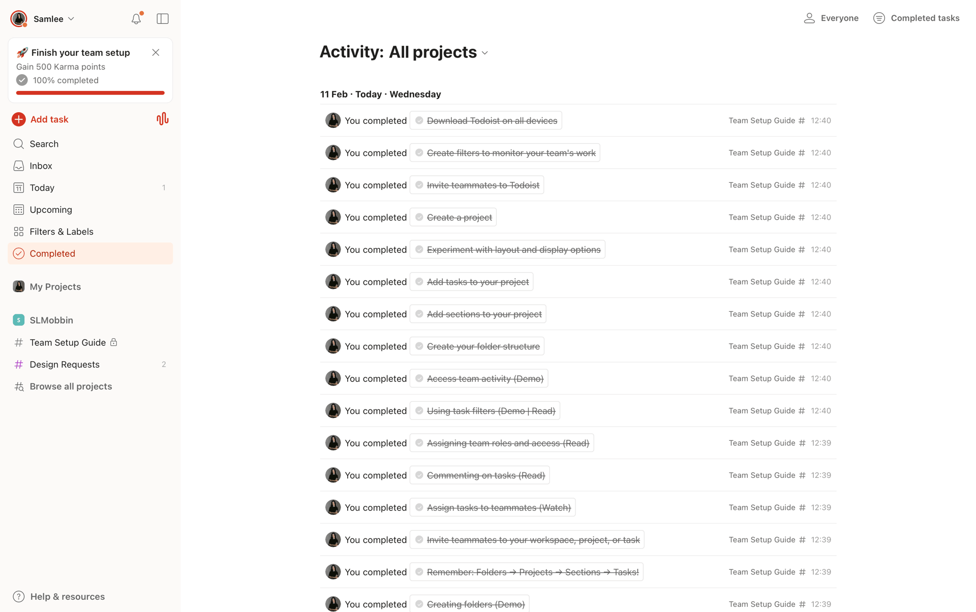 Todoist Web Collaboration interface screenshot 20