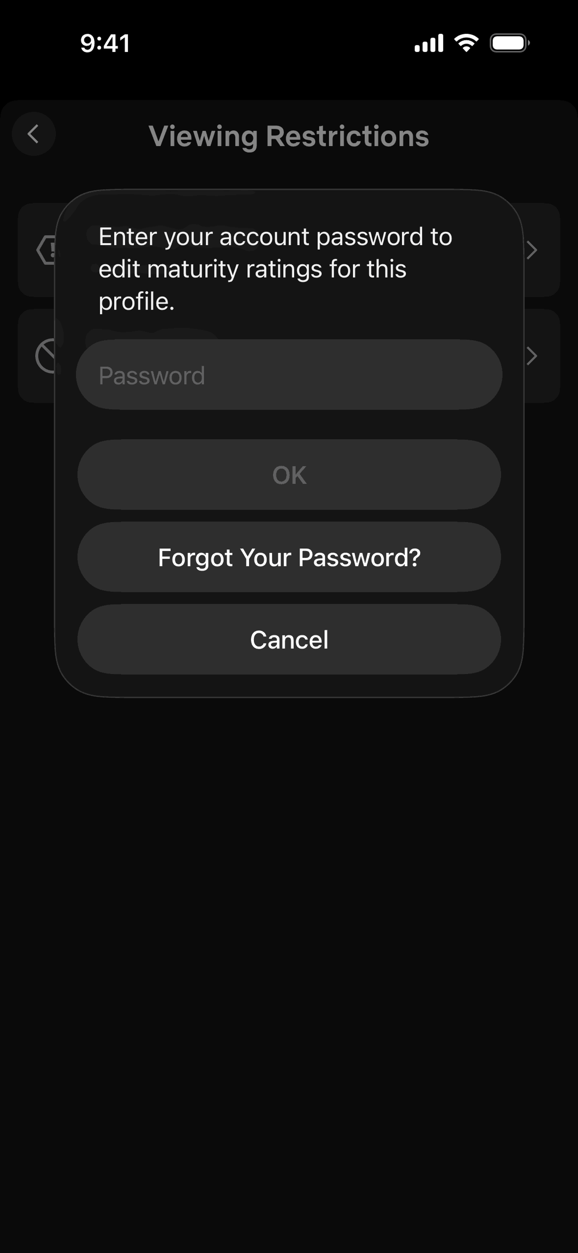 Netflix iOS Entertainment interface screenshot 17
