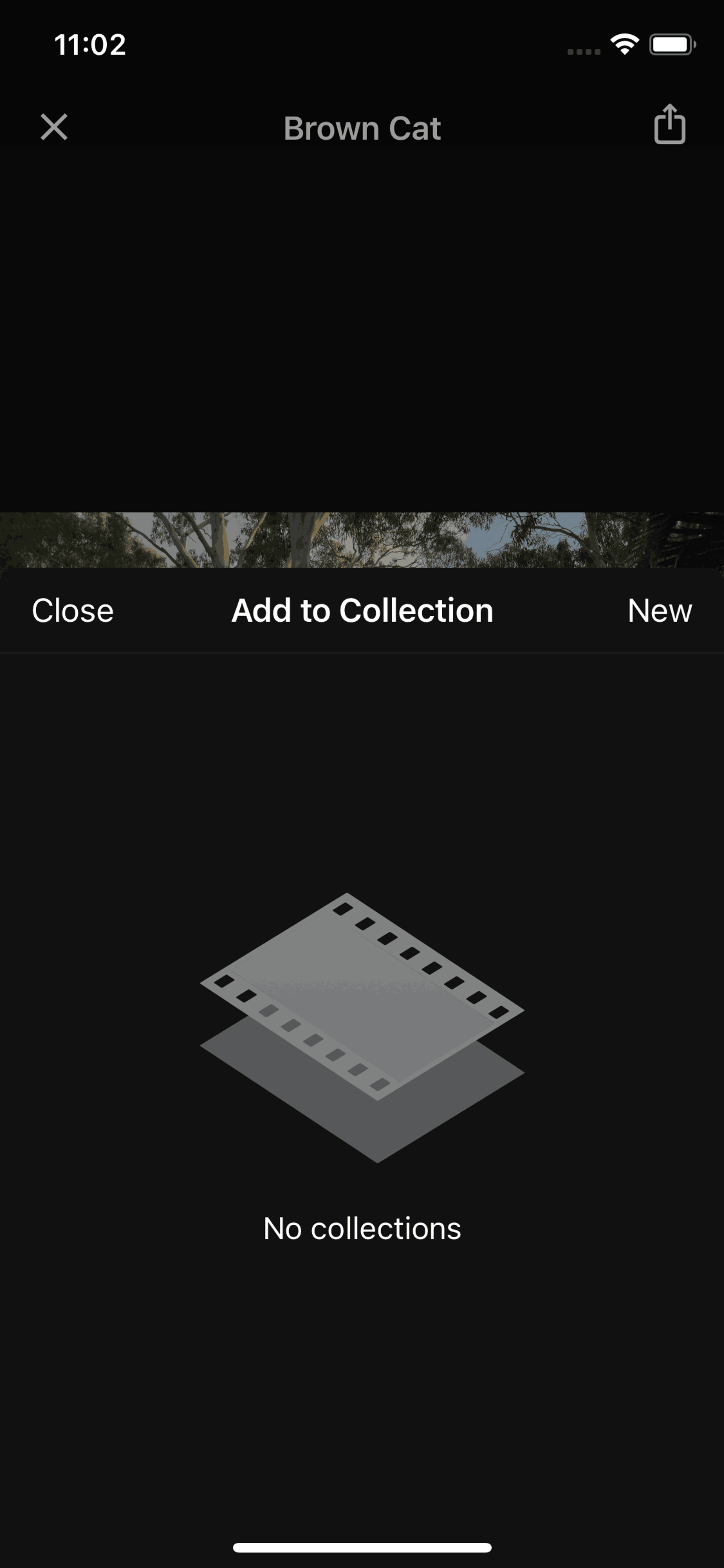 Unsplash iOS Photo & Video interface screenshot 17