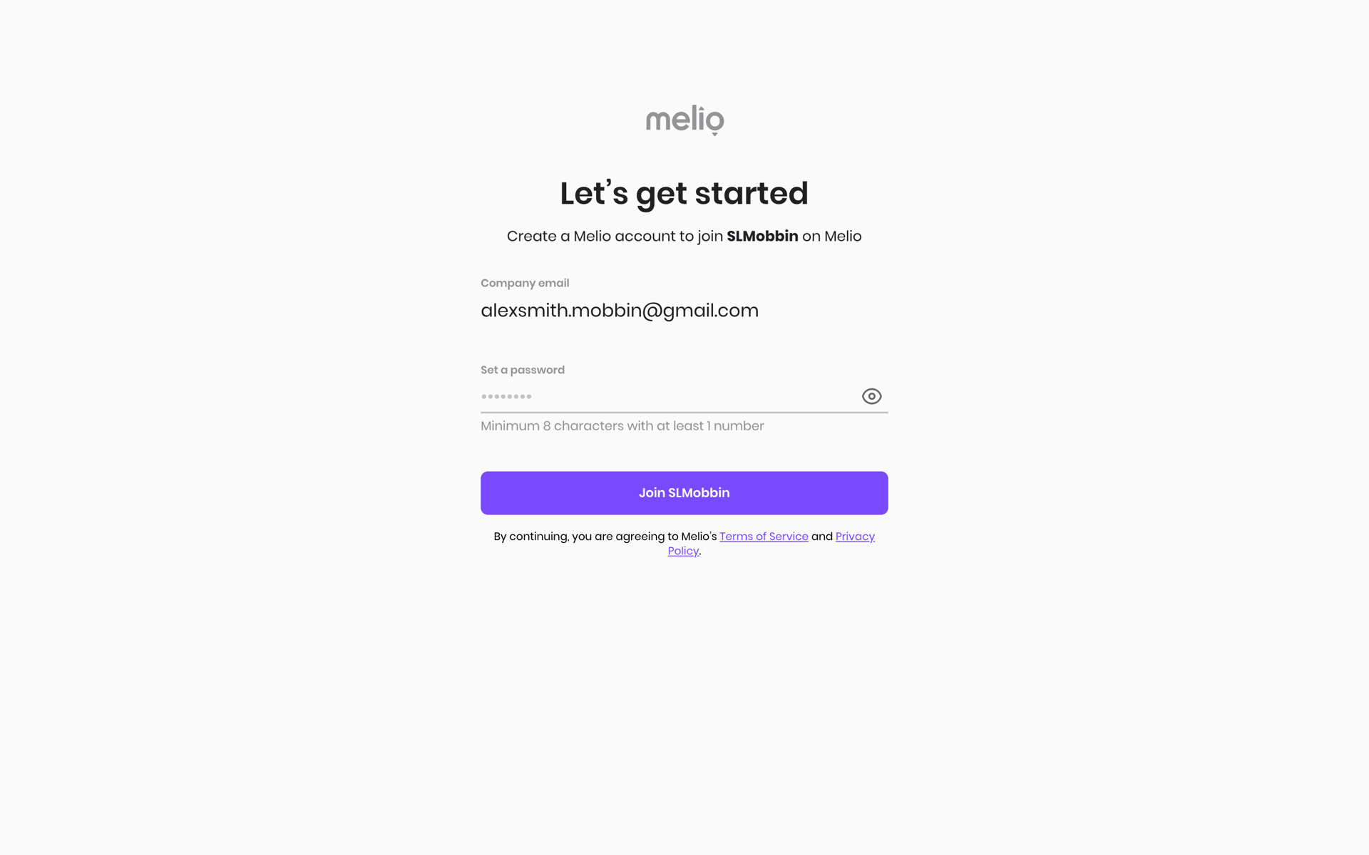 Melio Web Finance interface screenshot 2