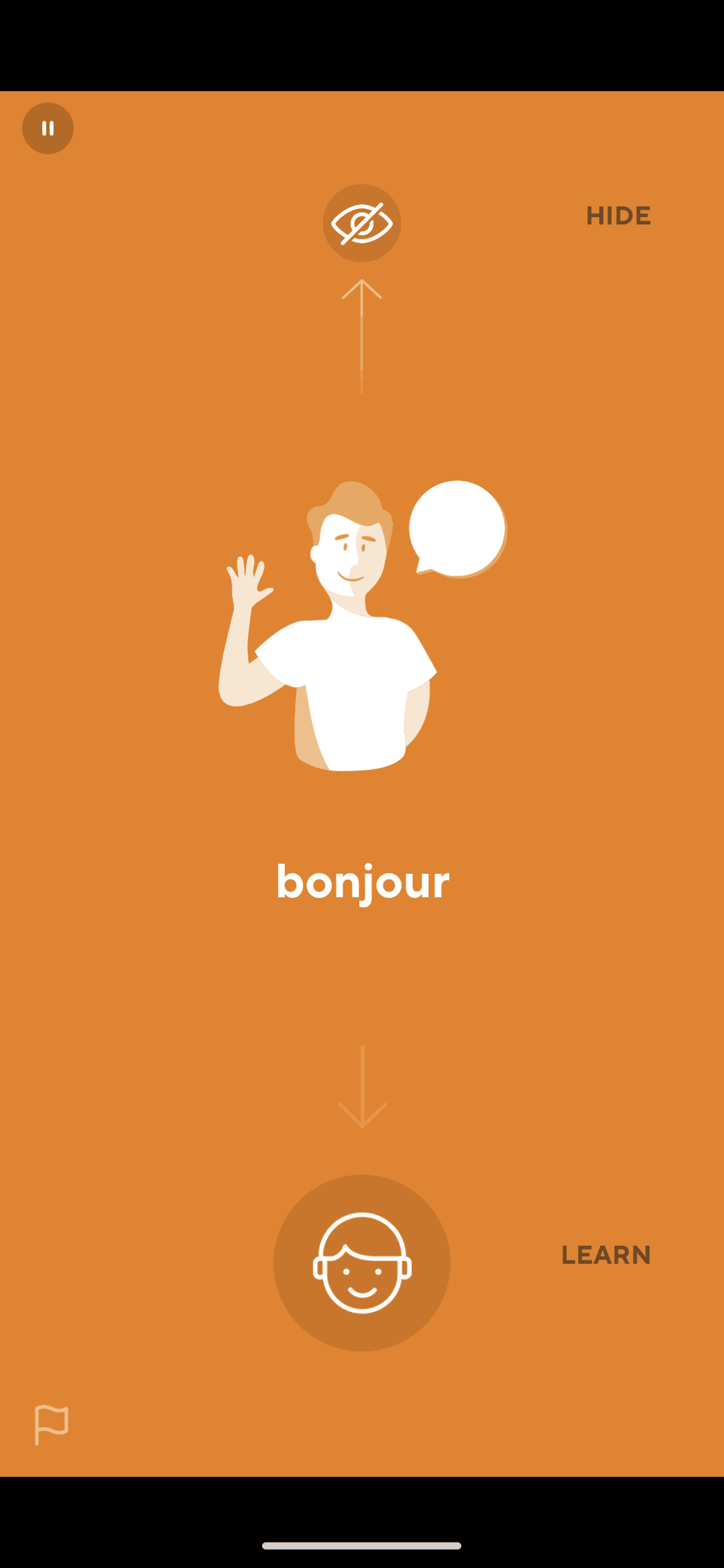 Drops Android Education interface screenshot 5