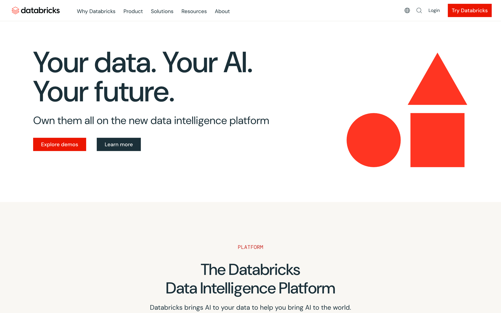 Databricks Web Developer Tools interface screenshot 1