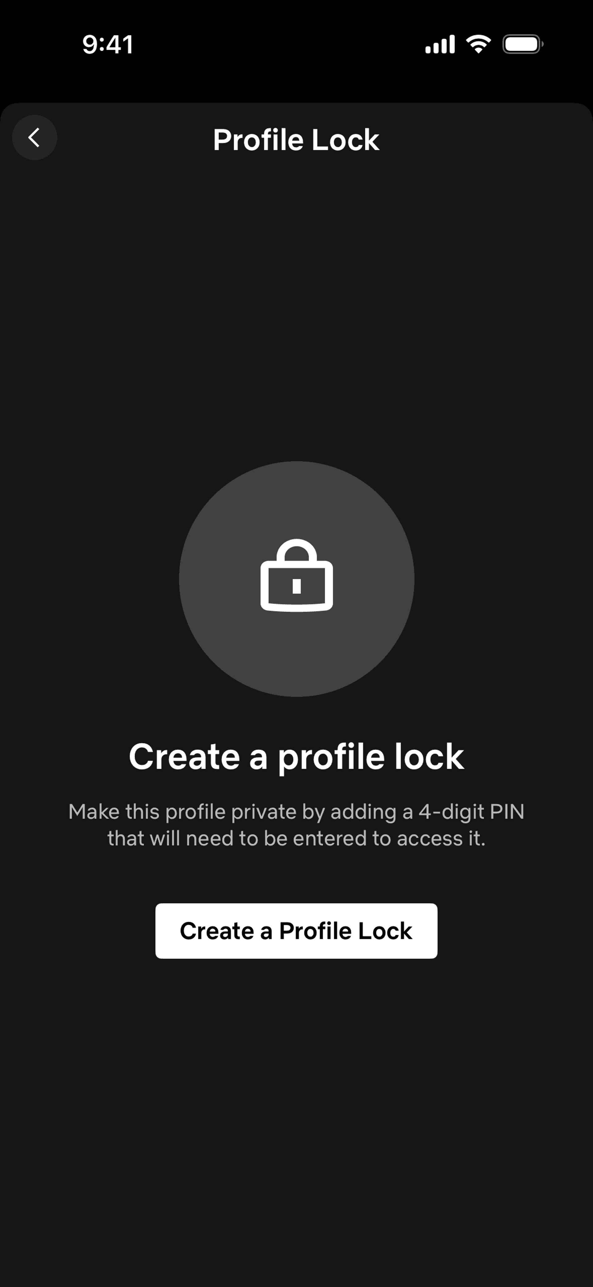 Netflix iOS Entertainment interface screenshot 19