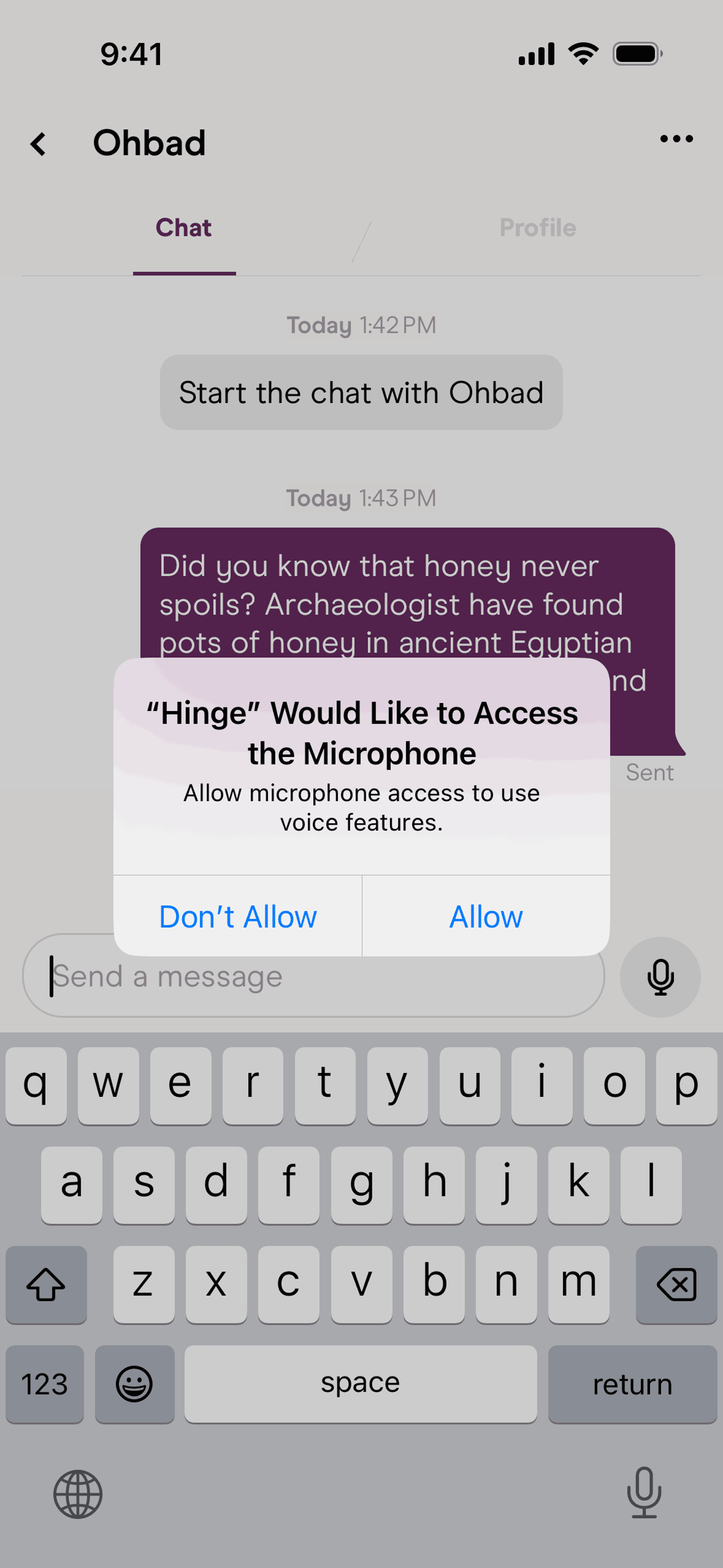 Hinge iOS Lifestyle interface screenshot 15
