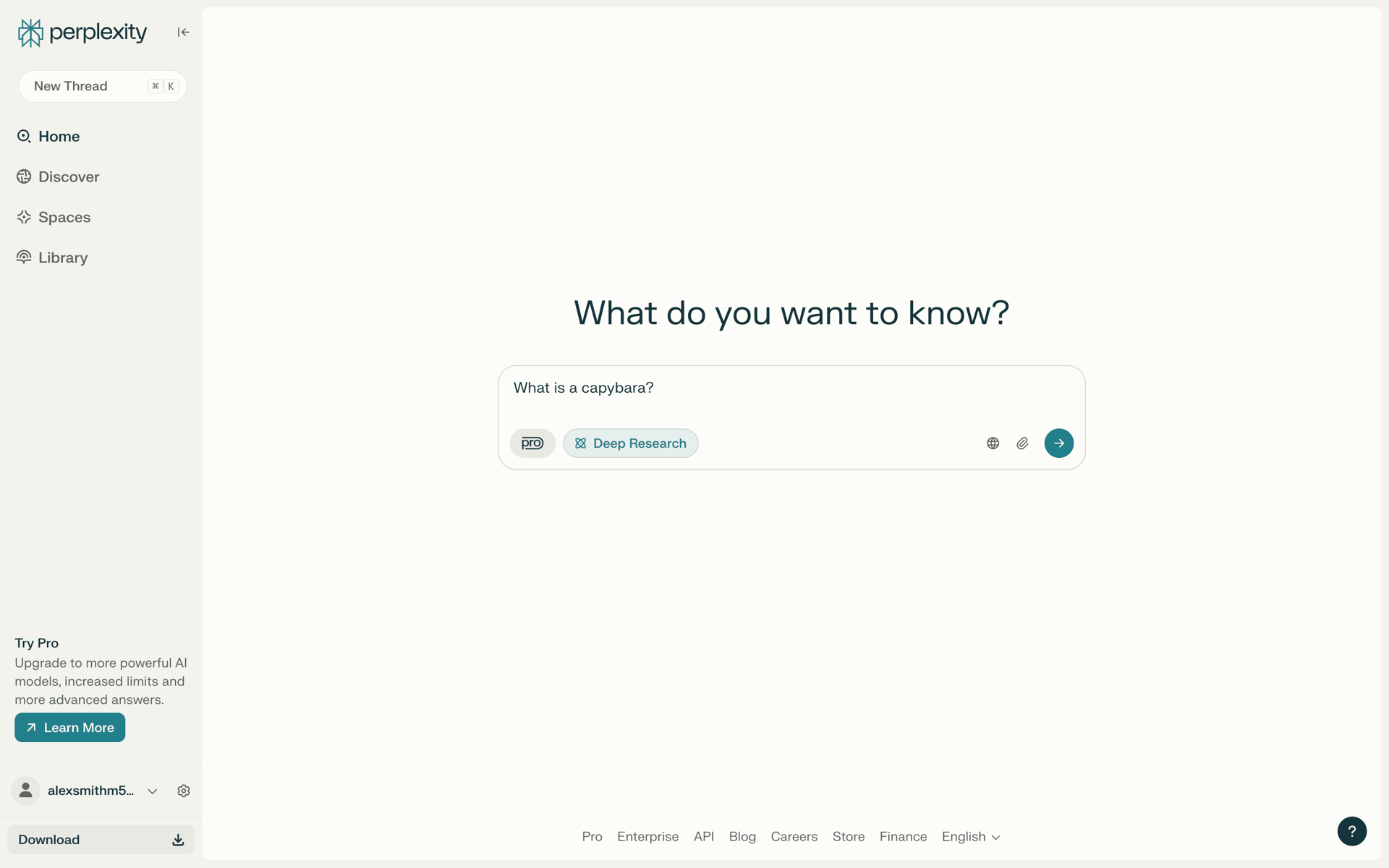 Perplexity Web AI interface screenshot 19