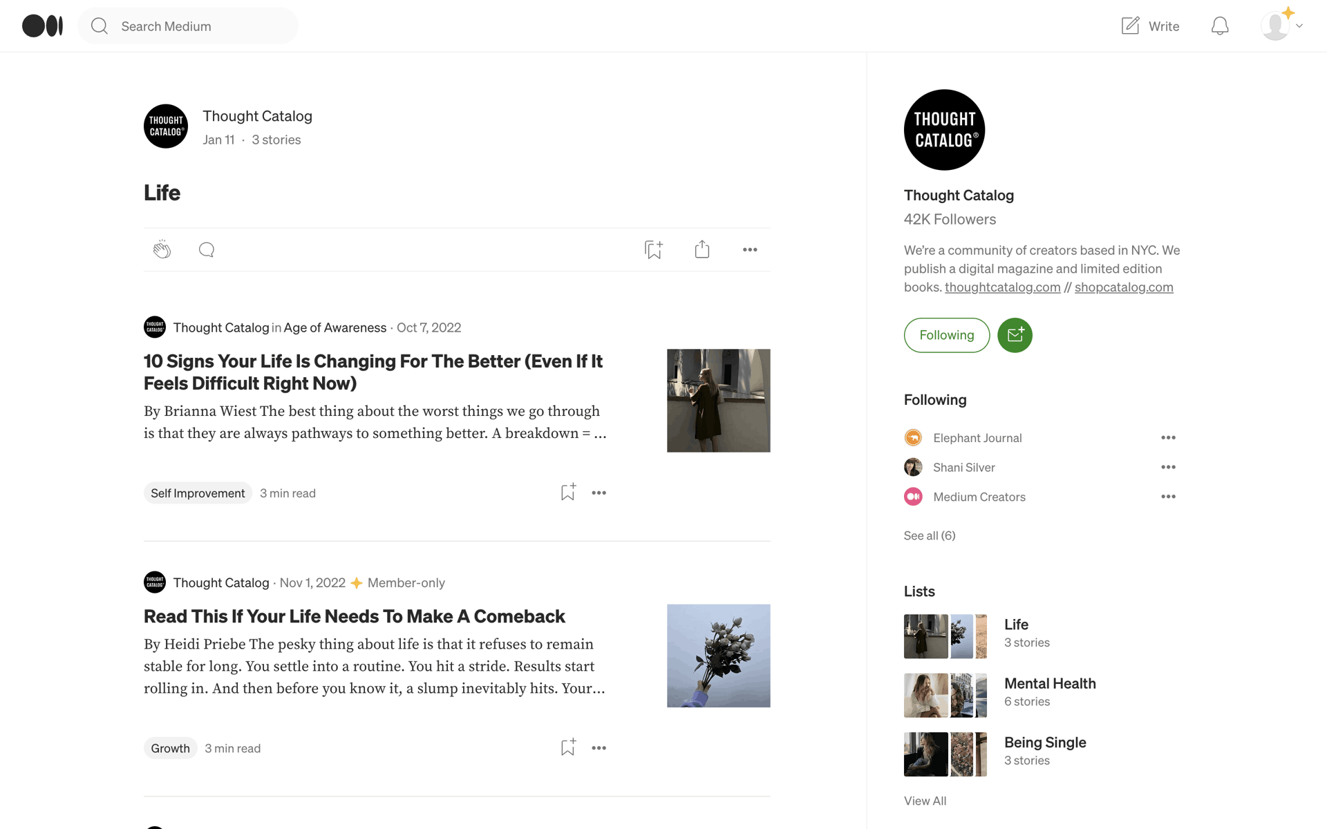 Medium Web News interface screenshot 22