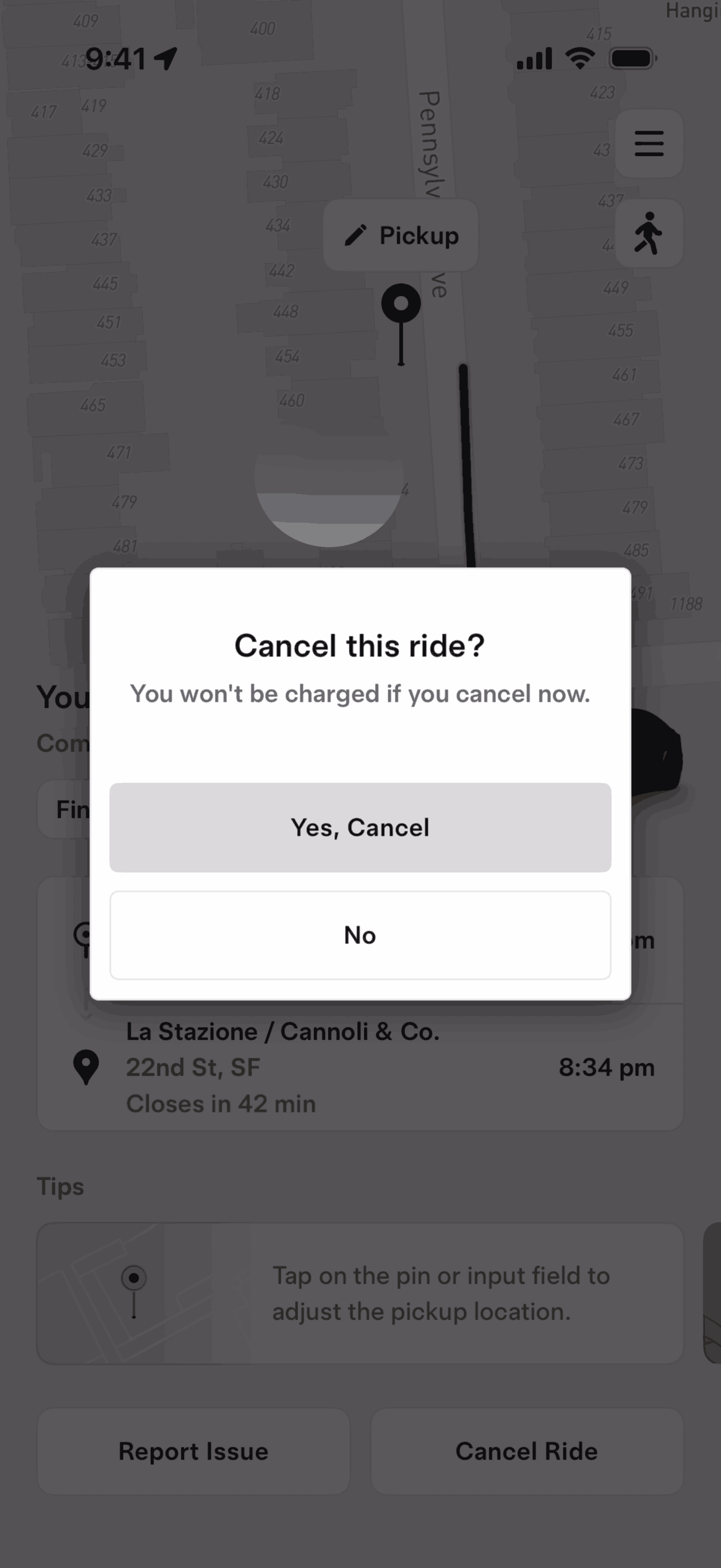 Tesla Robotaxi iOS Travel & Transportation interface screenshot 19