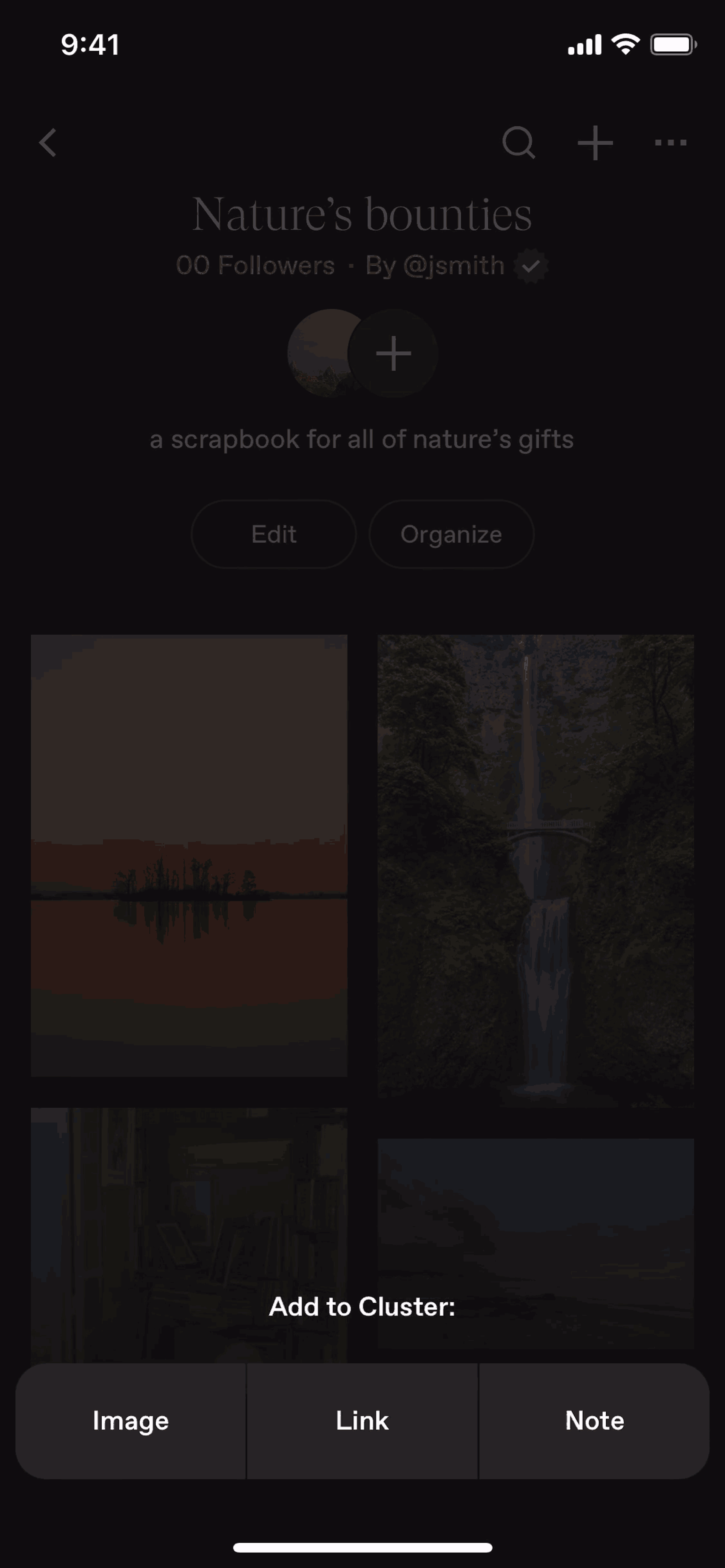Cosmos iOS Photo & Video interface screenshot 10