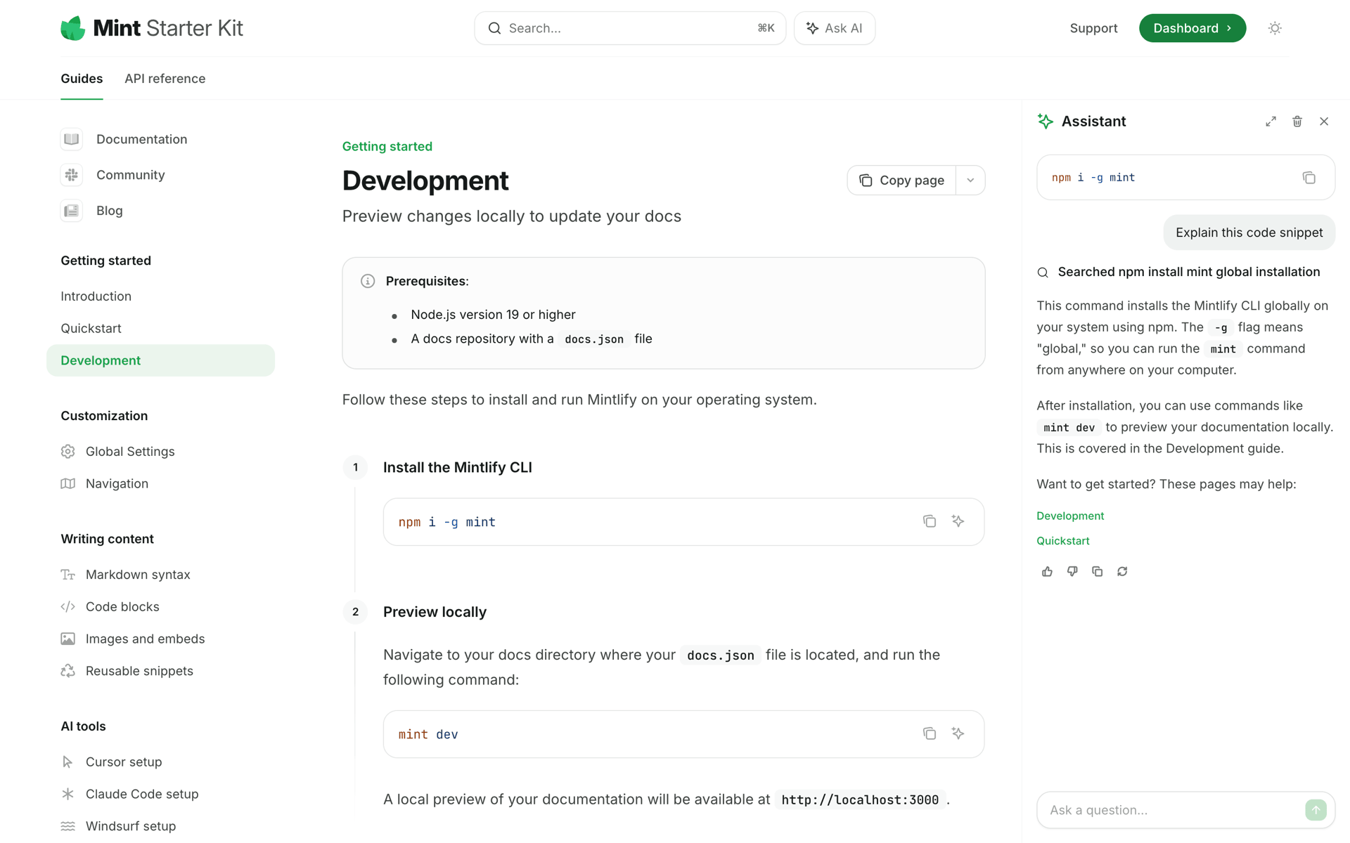 Mintlify Web Developer Tools interface screenshot 21