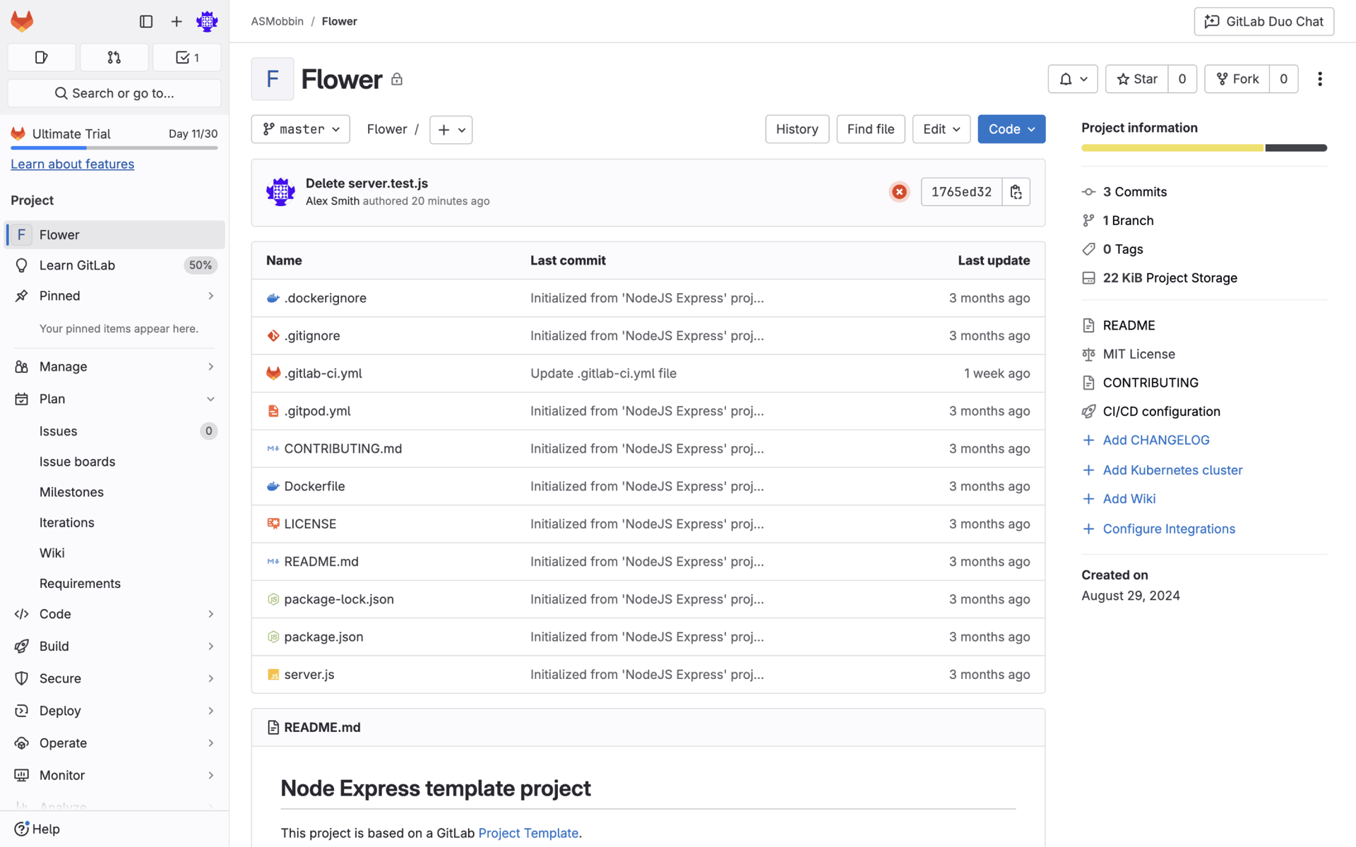 GitLab Web Developer Tools interface screenshot 22