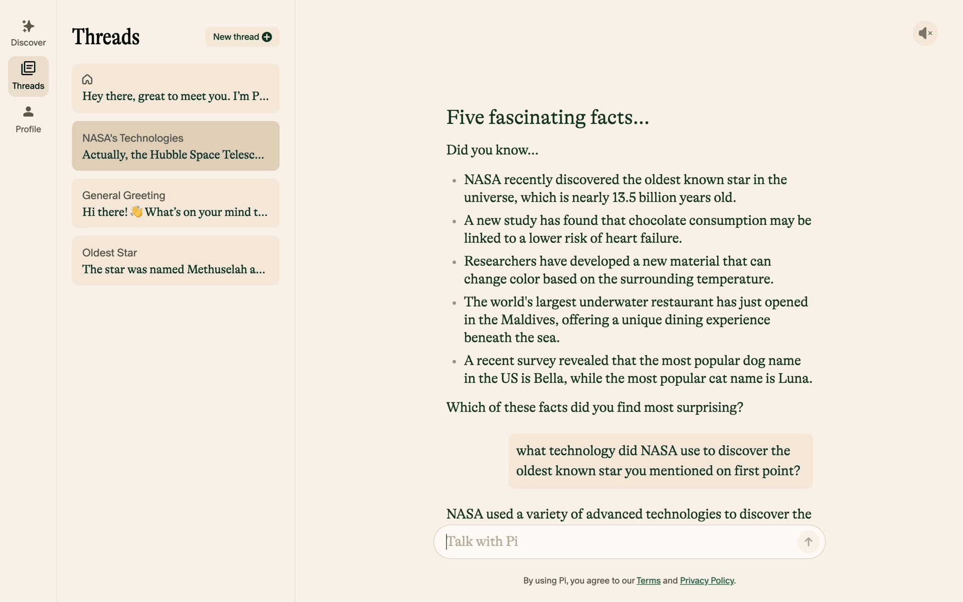 Pi Web AI interface screenshot 18