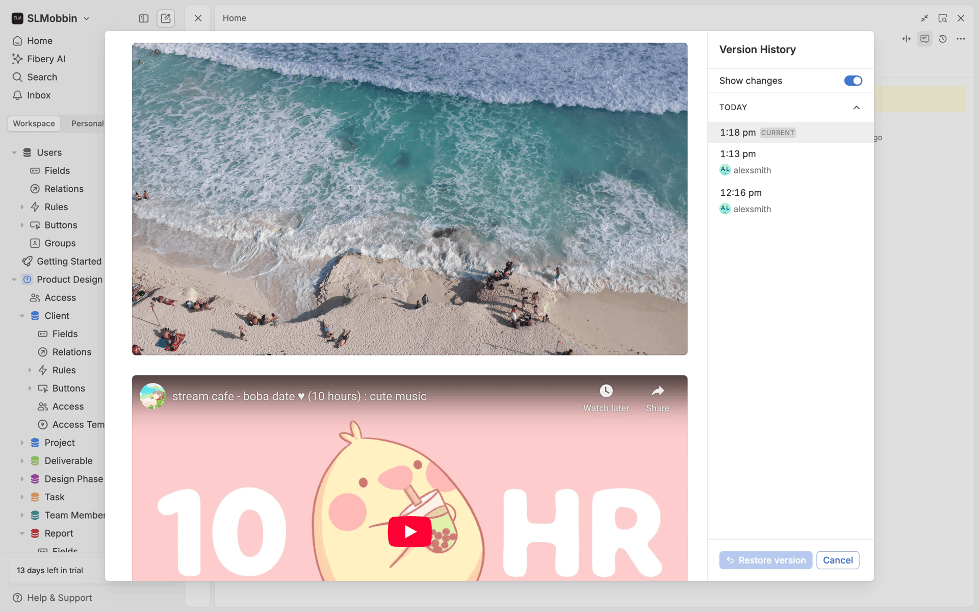 Fibery Web Productivity interface screenshot 12