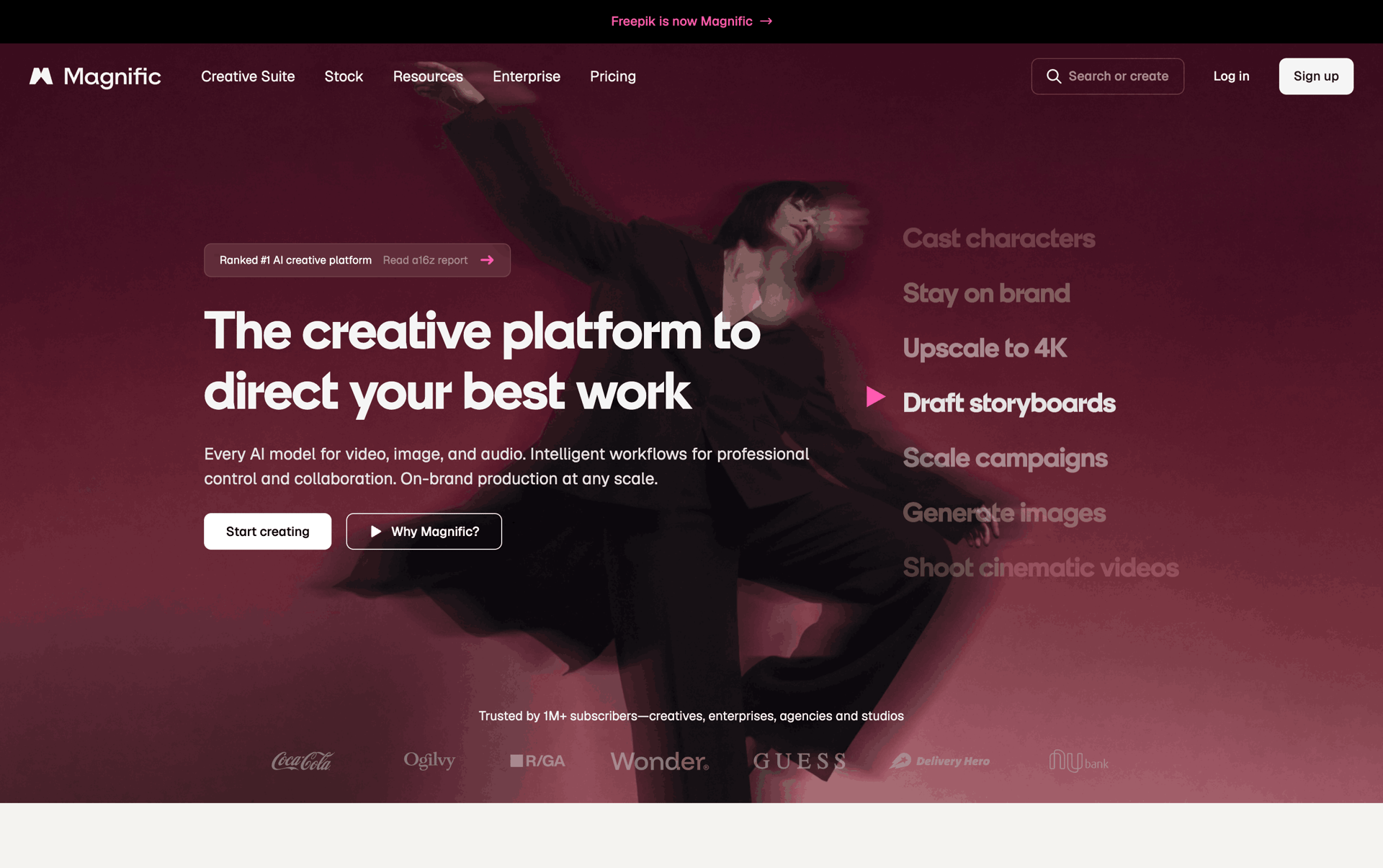 Magnific Web Photo & Video interface screenshot 1