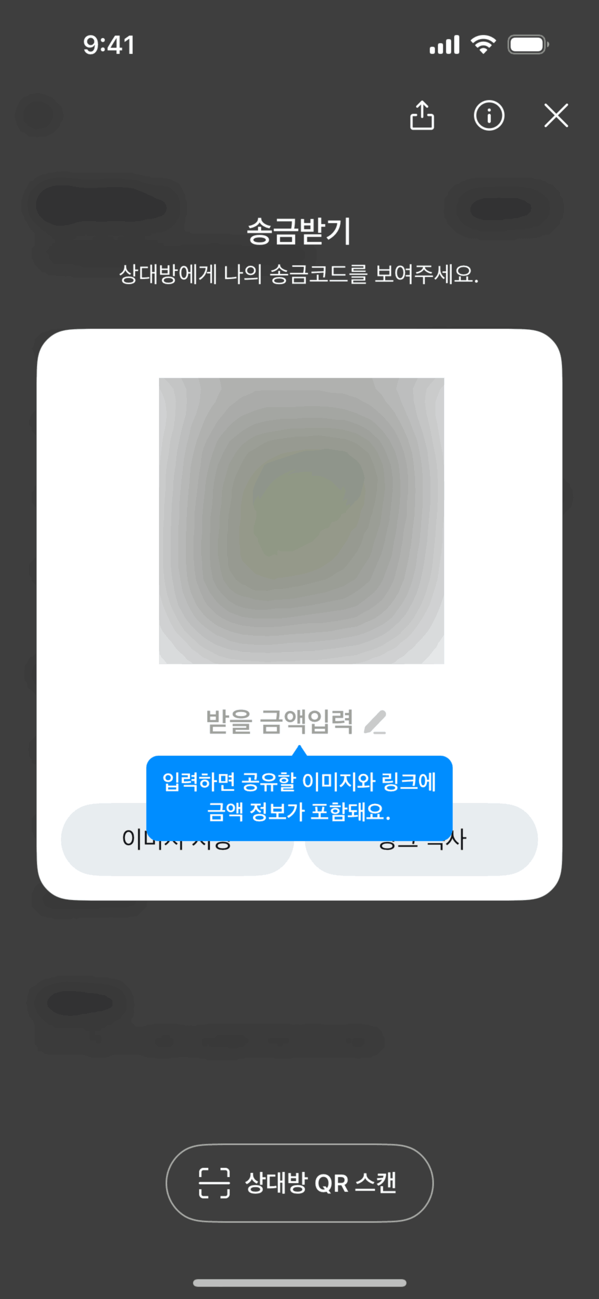 Kakao Pay iOS Finance interface screenshot 15