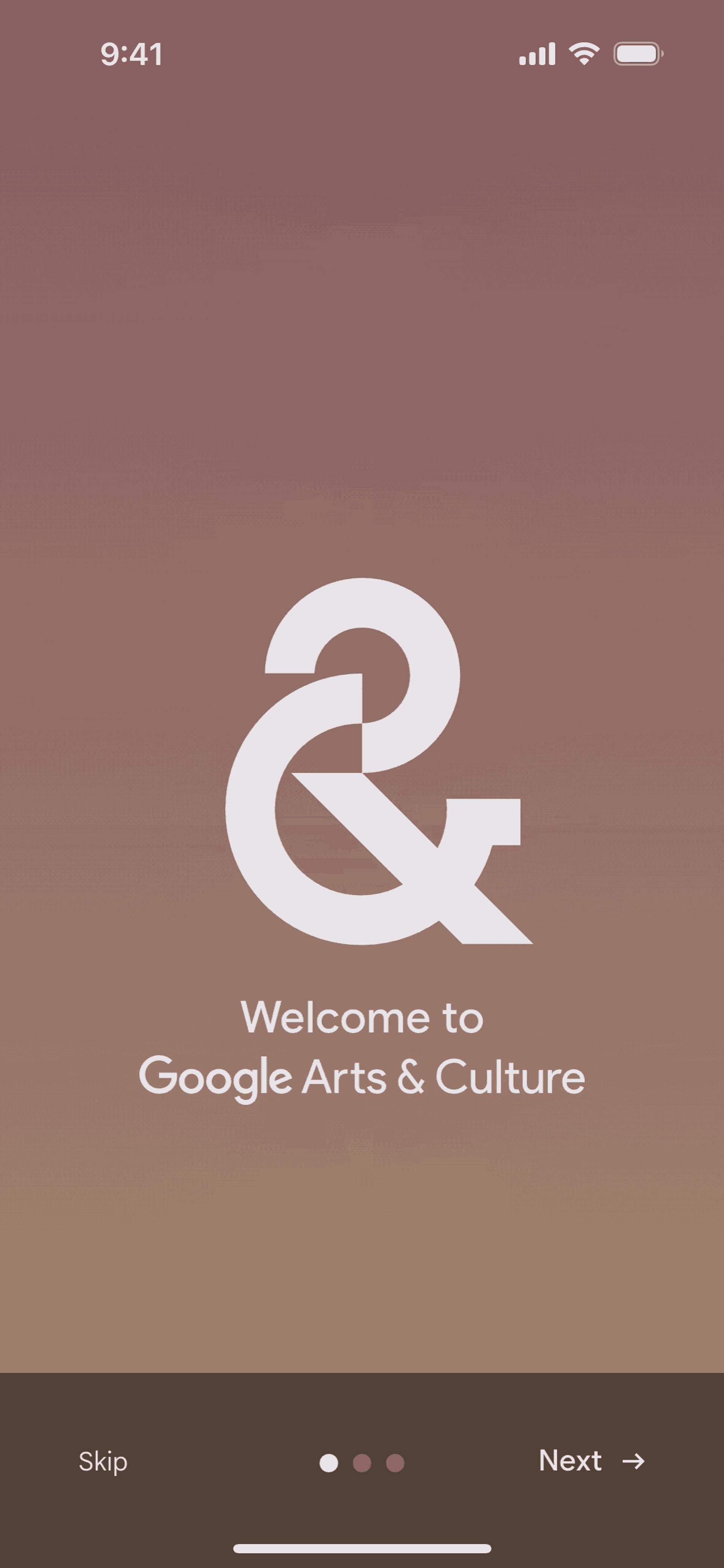 Google Arts & Culture iOS Education interface screenshot 3