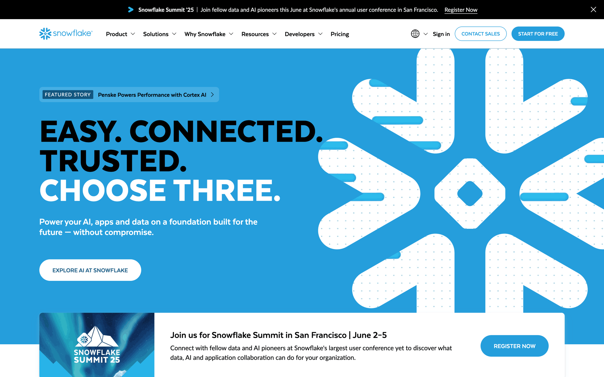 Snowflake Web Developer Tools interface screenshot 1