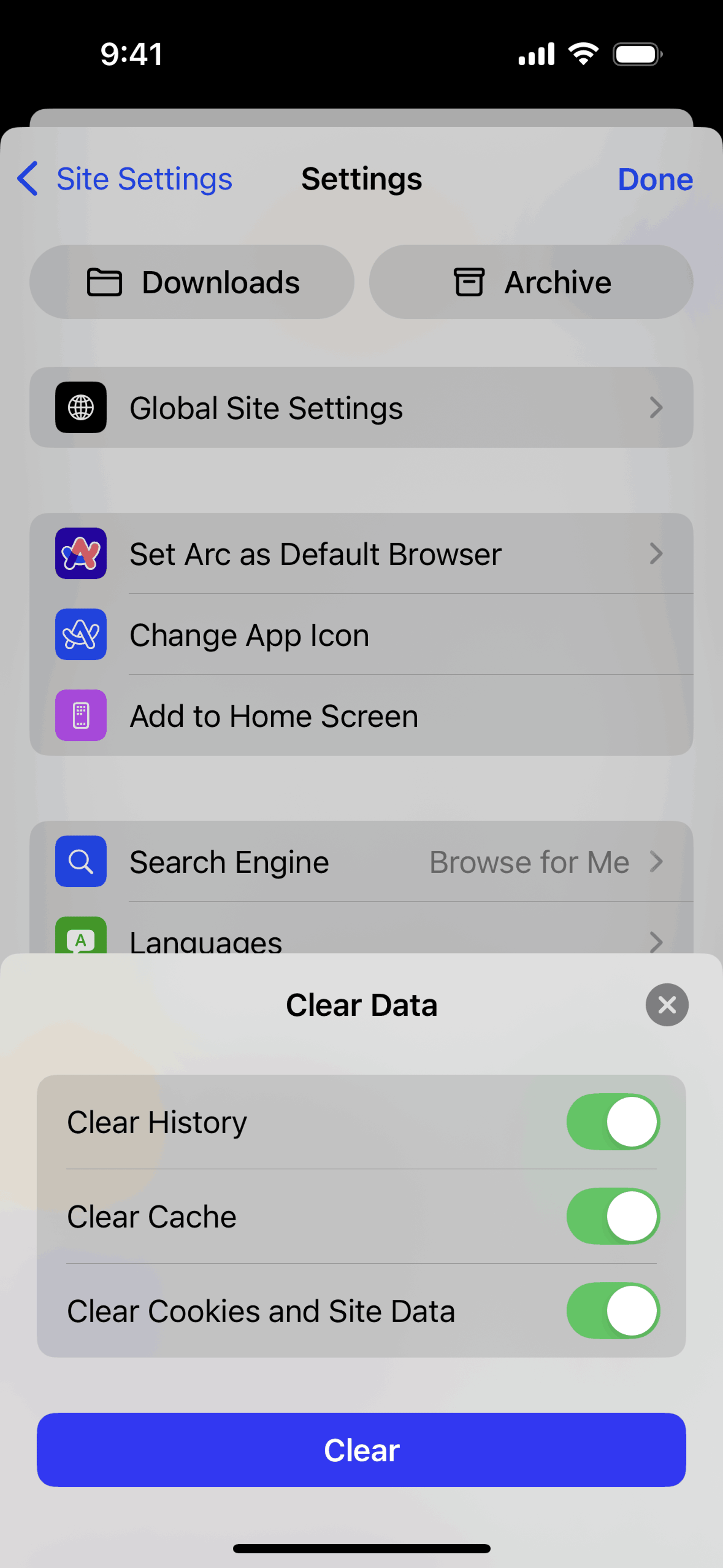 Arc Search iOS AI interface screenshot 20