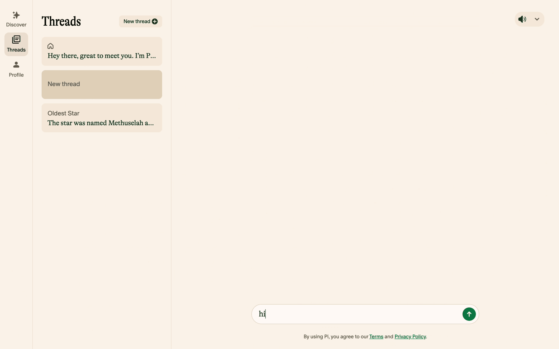 Pi Web AI interface screenshot 17